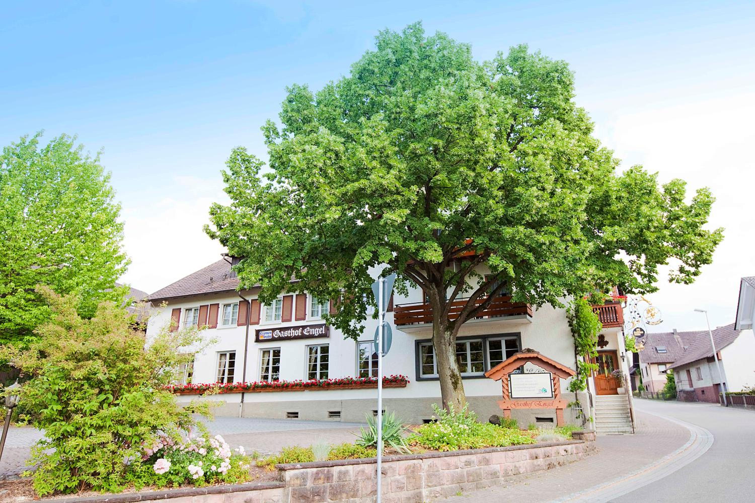 Hotel Gasthof Engel view 2