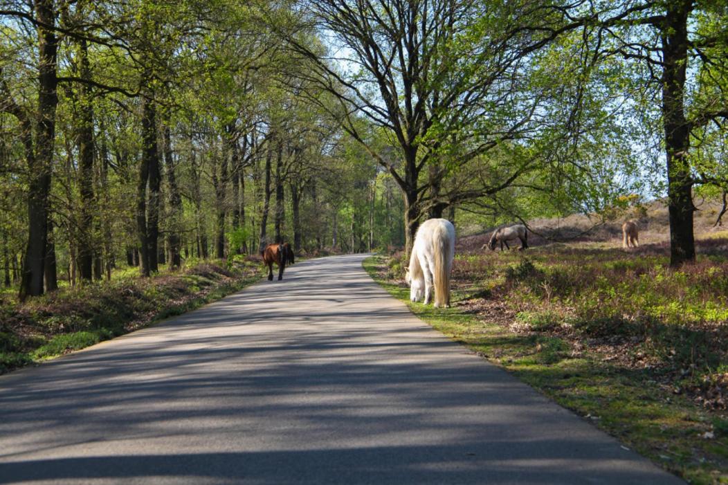 BB Freydag - Property Image 16