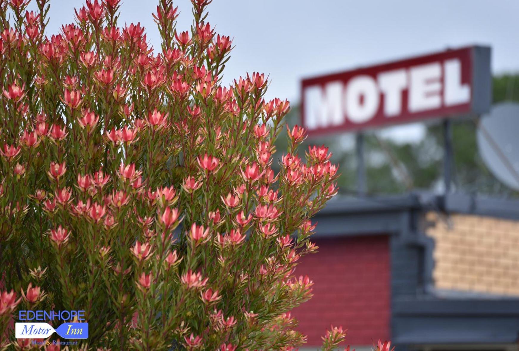 Edenhope Motor Inn