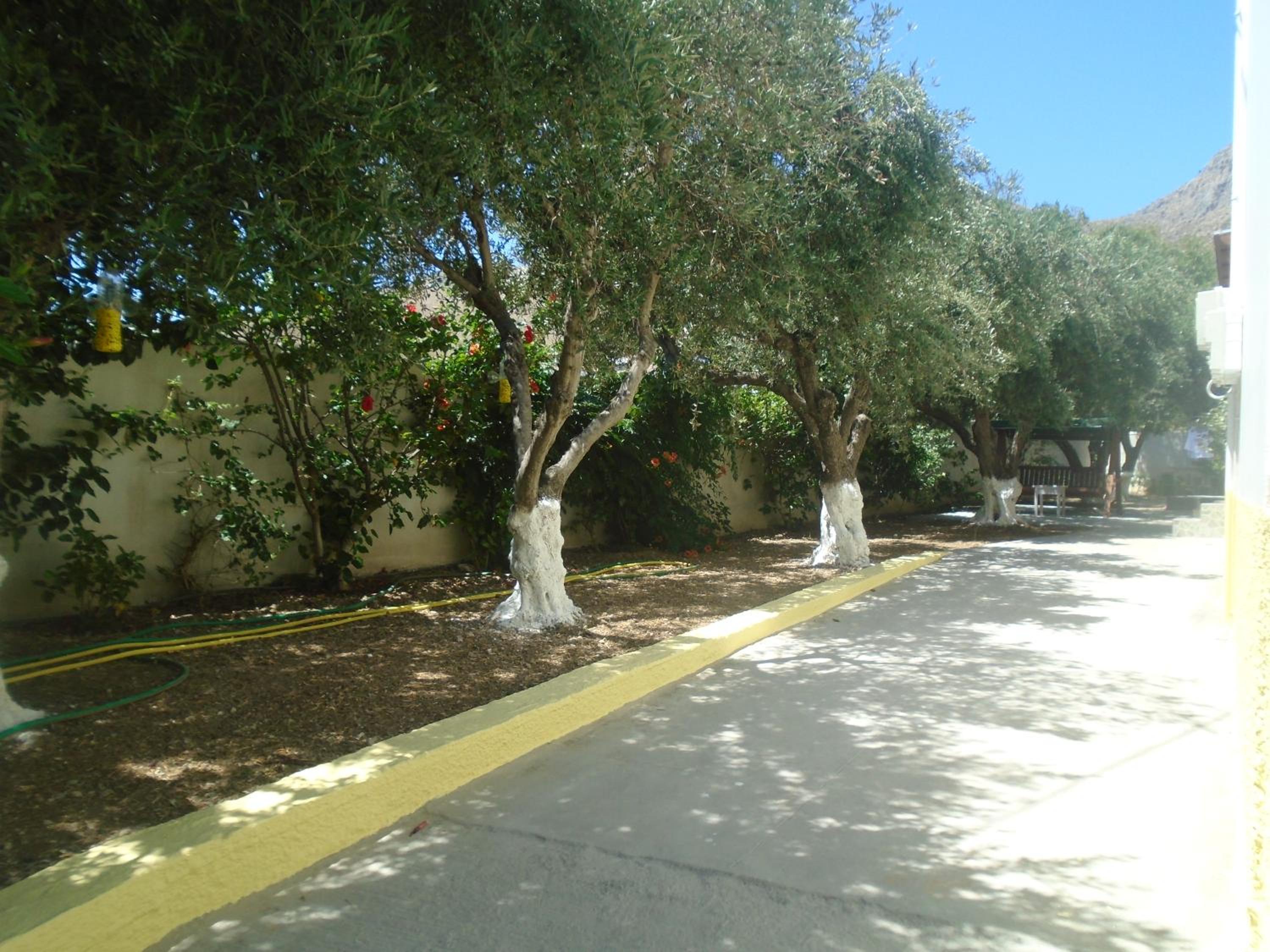 Photo 46