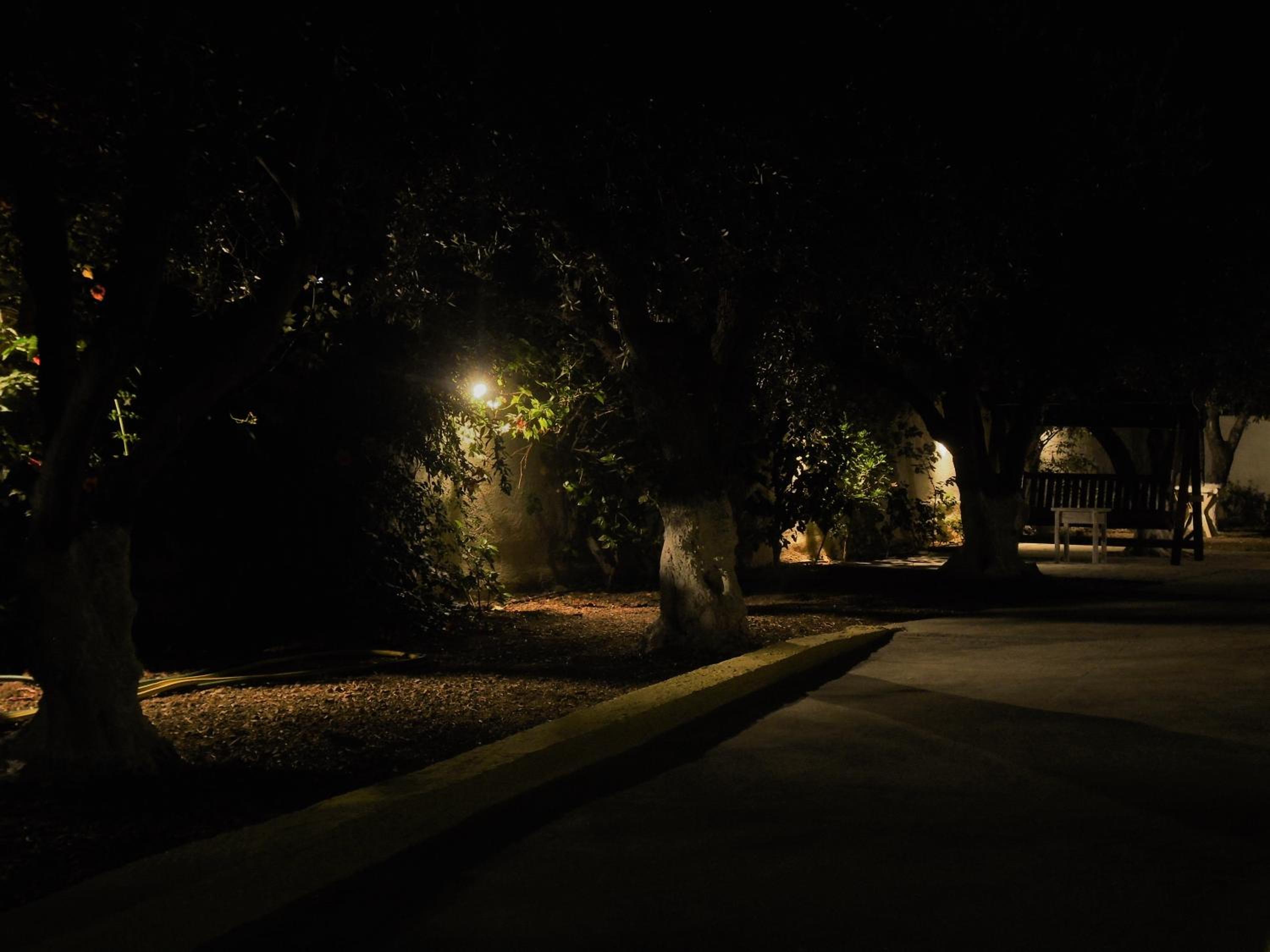 Photo 47