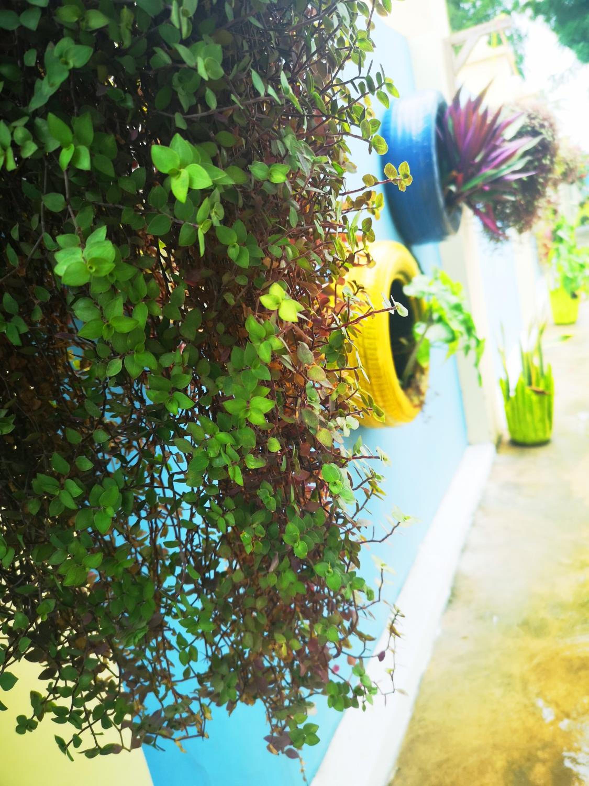 Photo 42