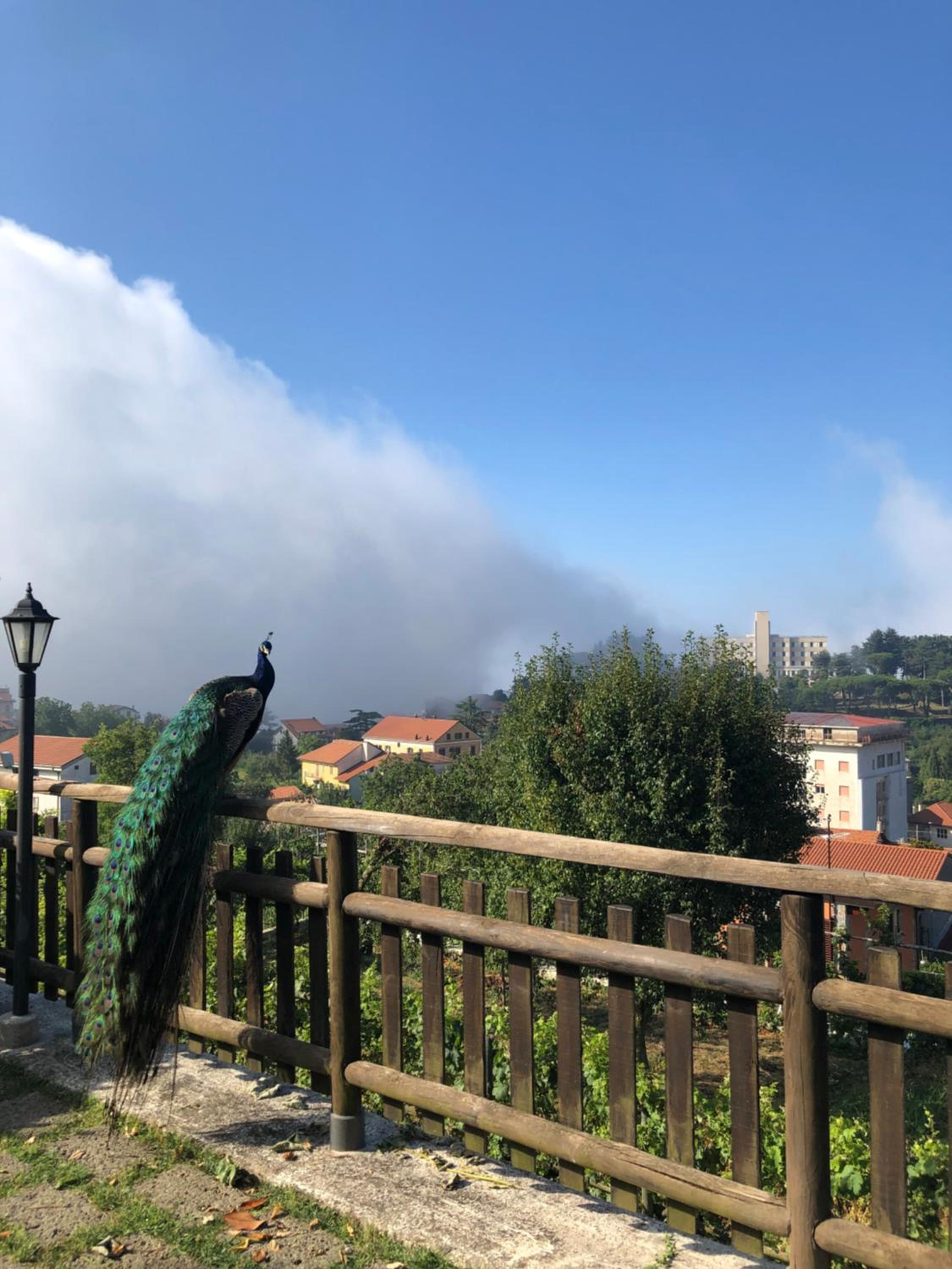 Agriturismo La Baita