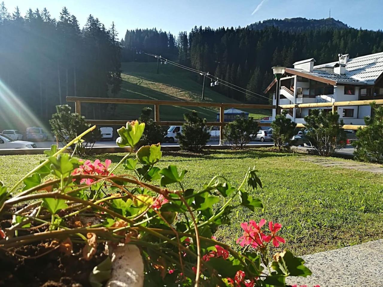 Chalet Golf Campiglio / LuxApt / fronte piste-impianti-golf view 5