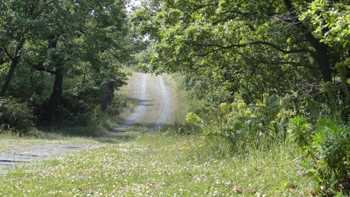 Photo 40