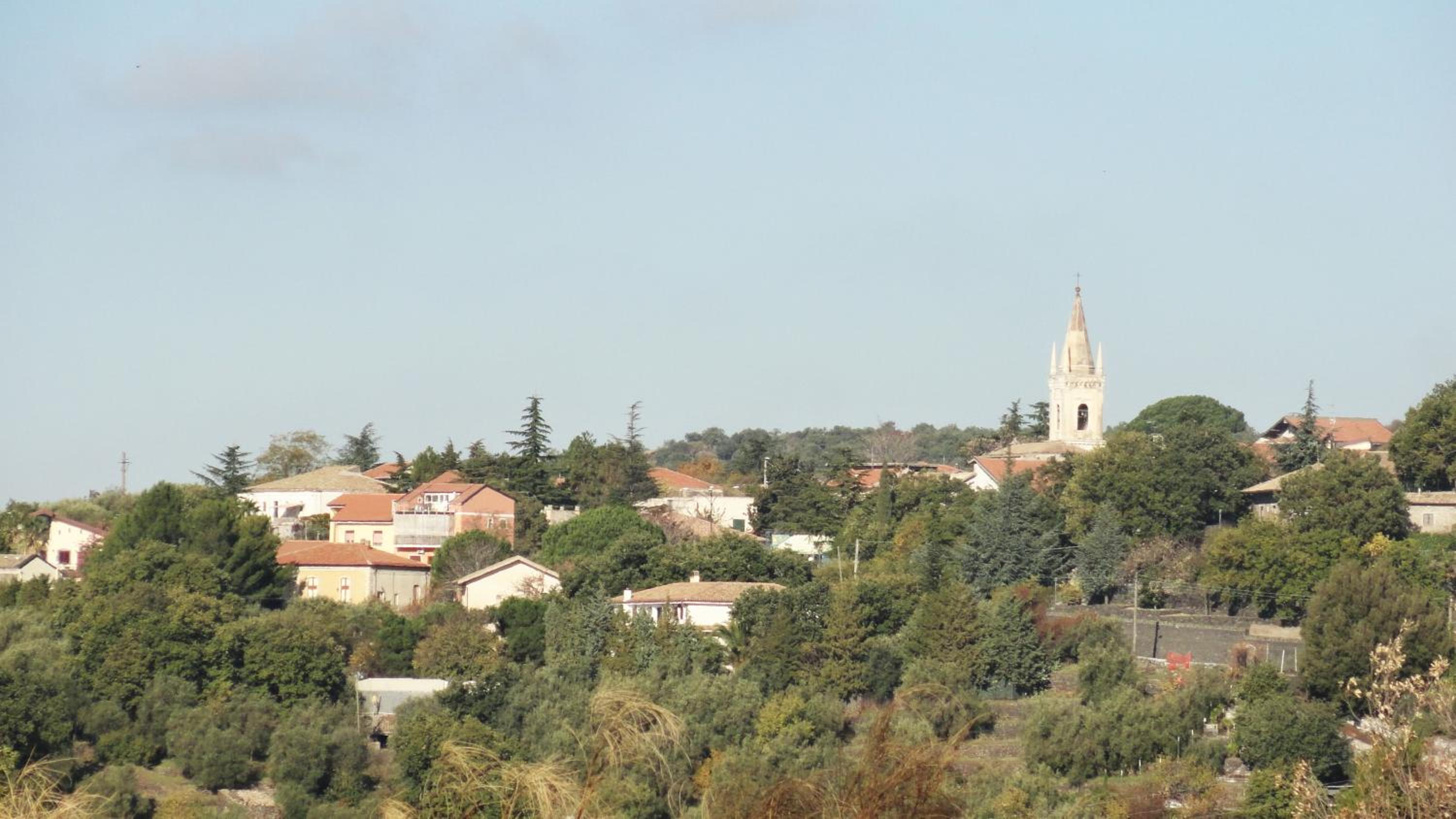 Photo 49