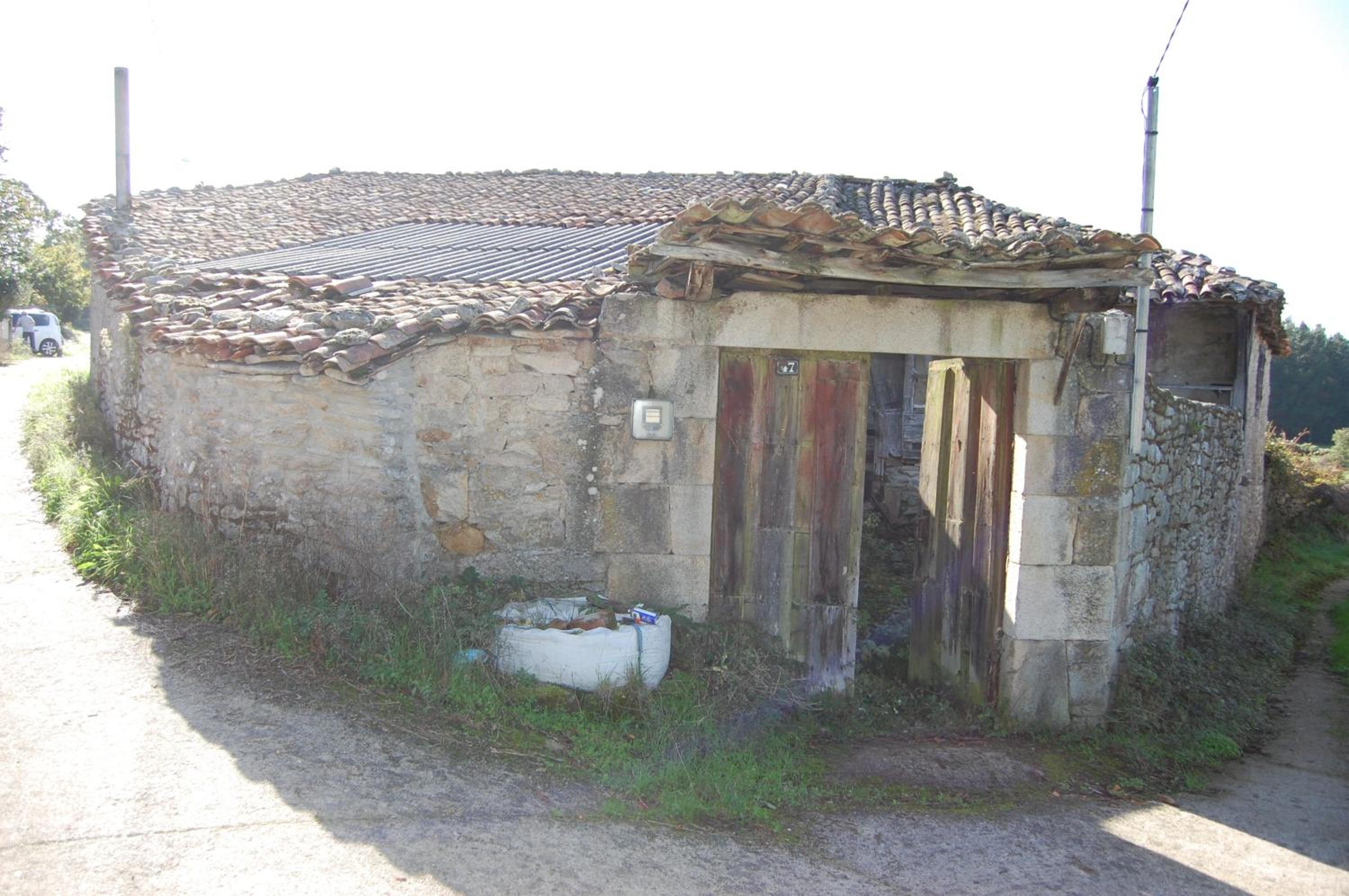 Photo 42
