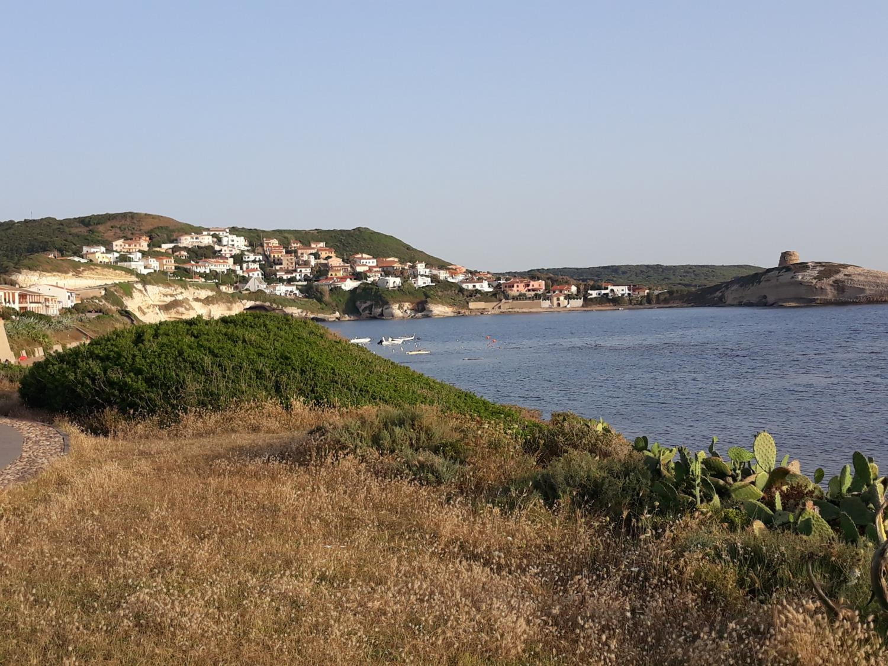 Photo 44