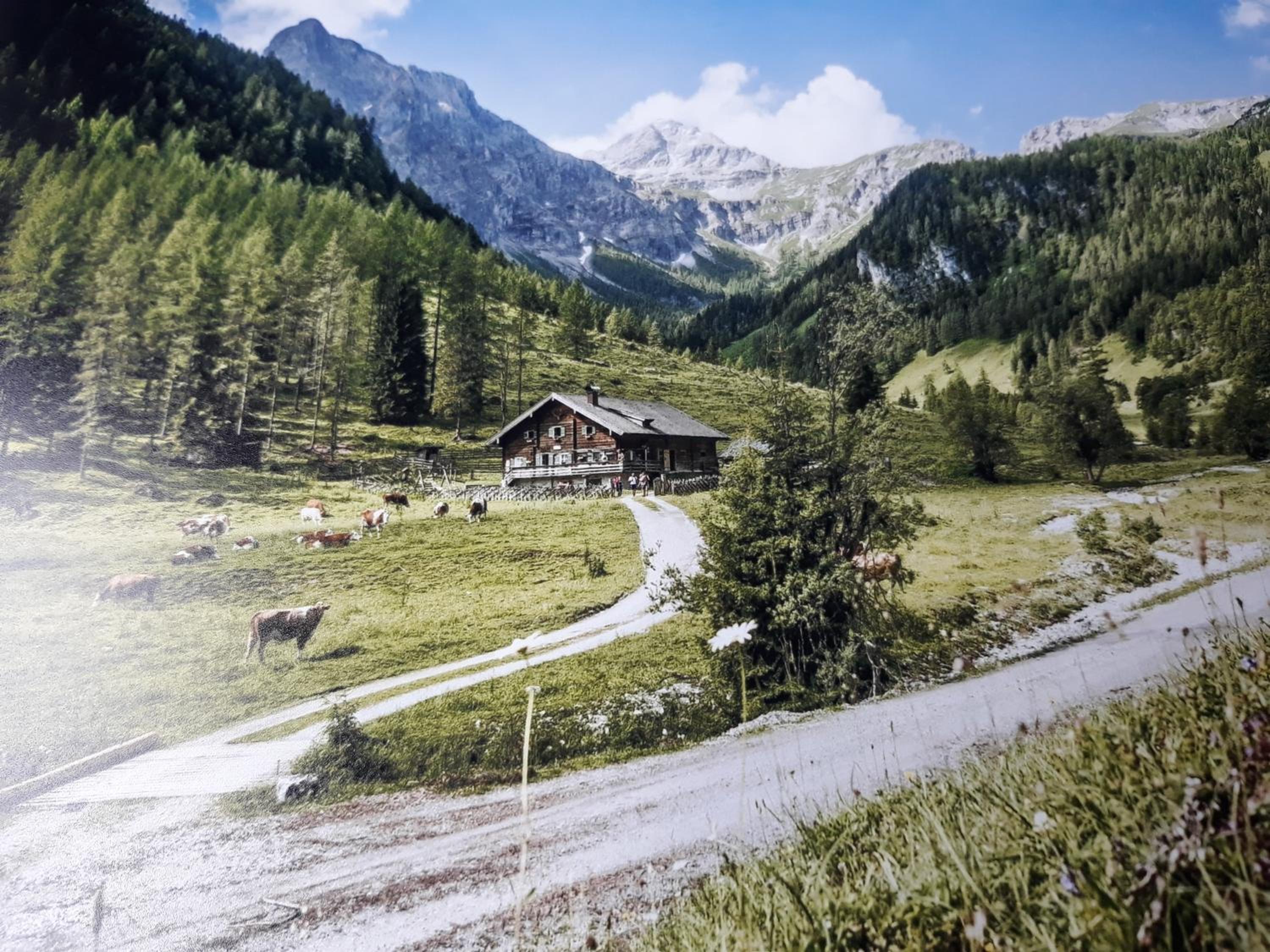 Haus Silvia