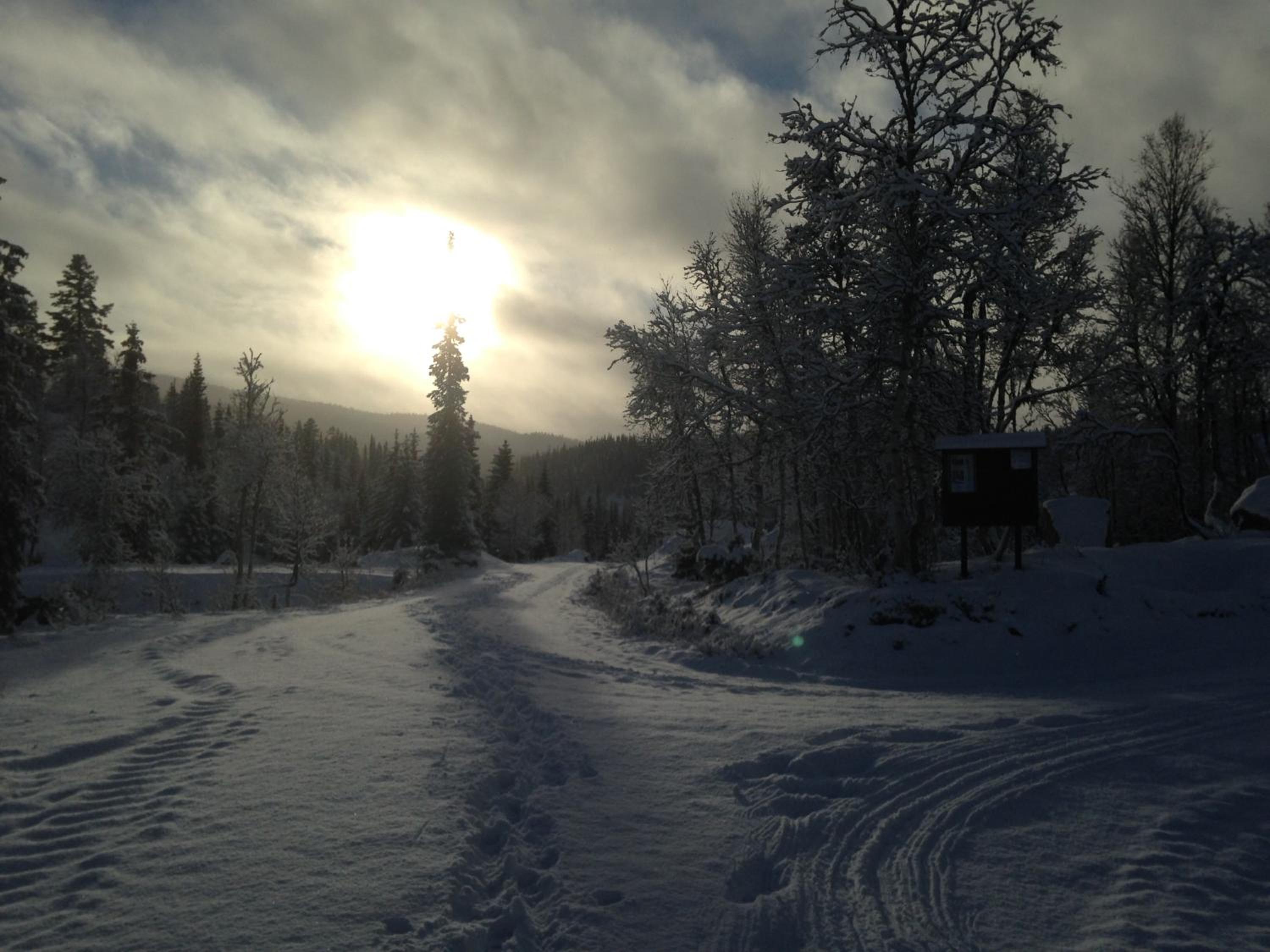 Photo 30