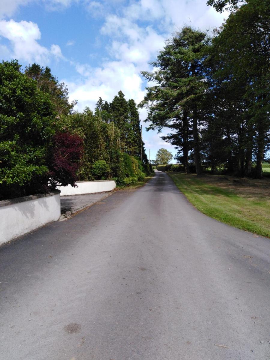 Blackmoor Farm view 4