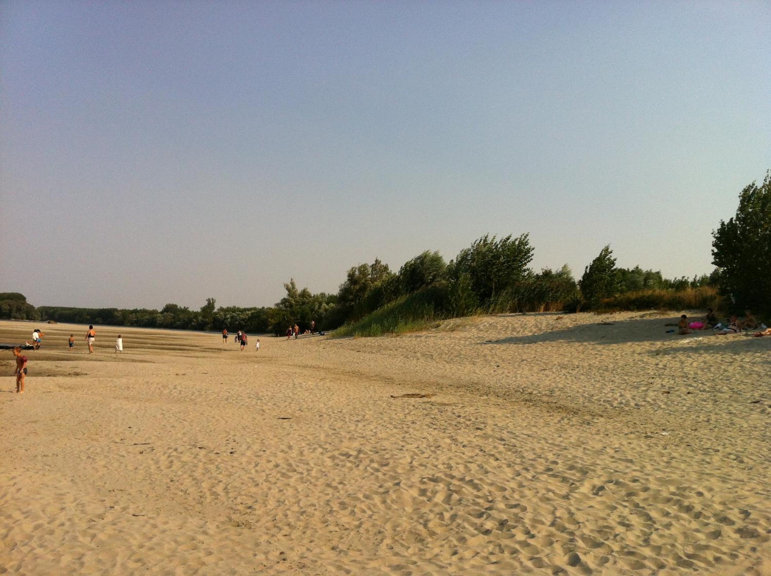 Photo 31