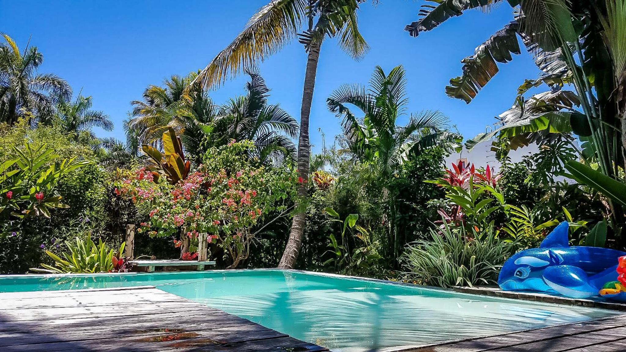 Villa Strelitzia Cabarete view 4