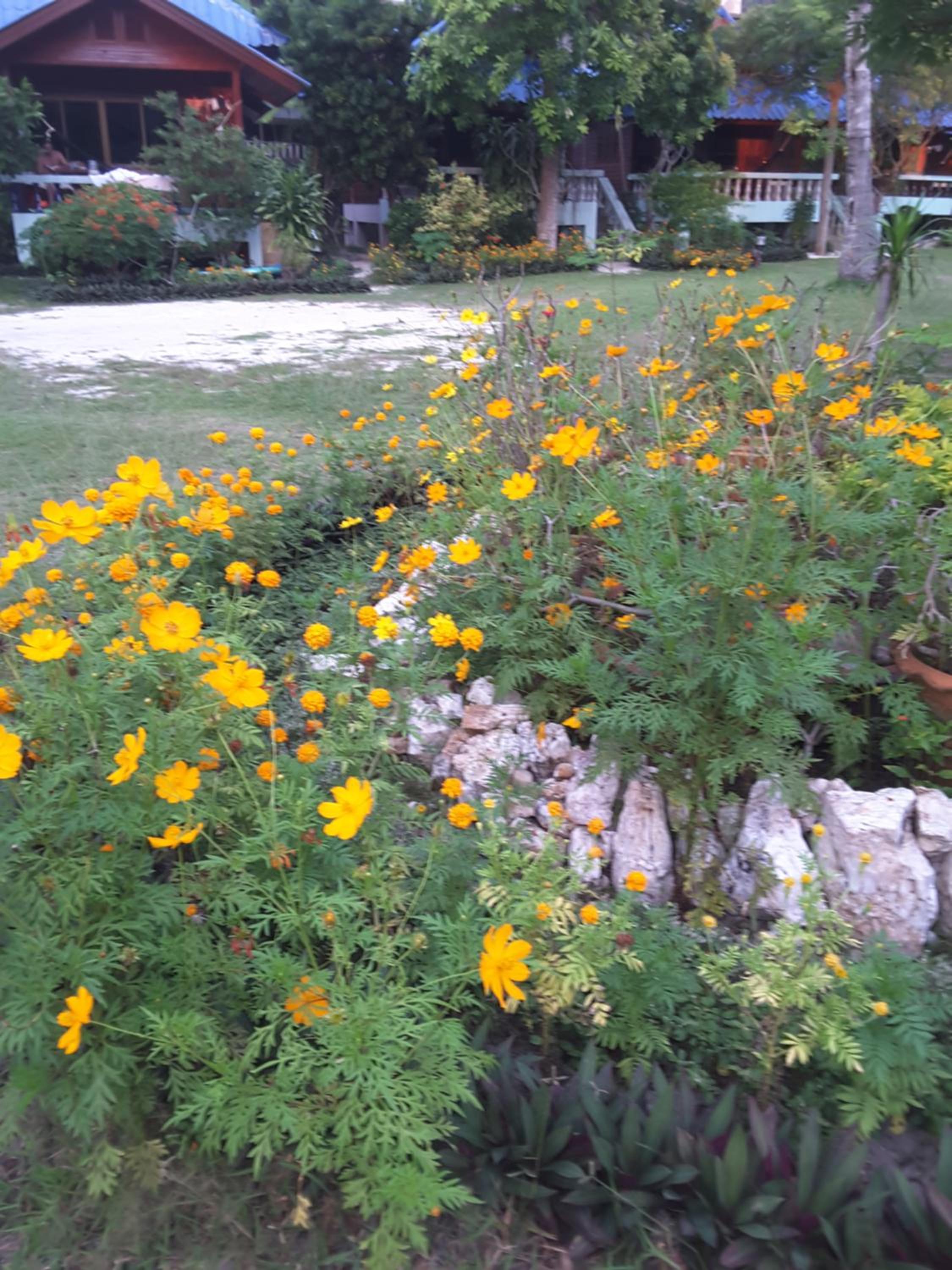 Photo 41