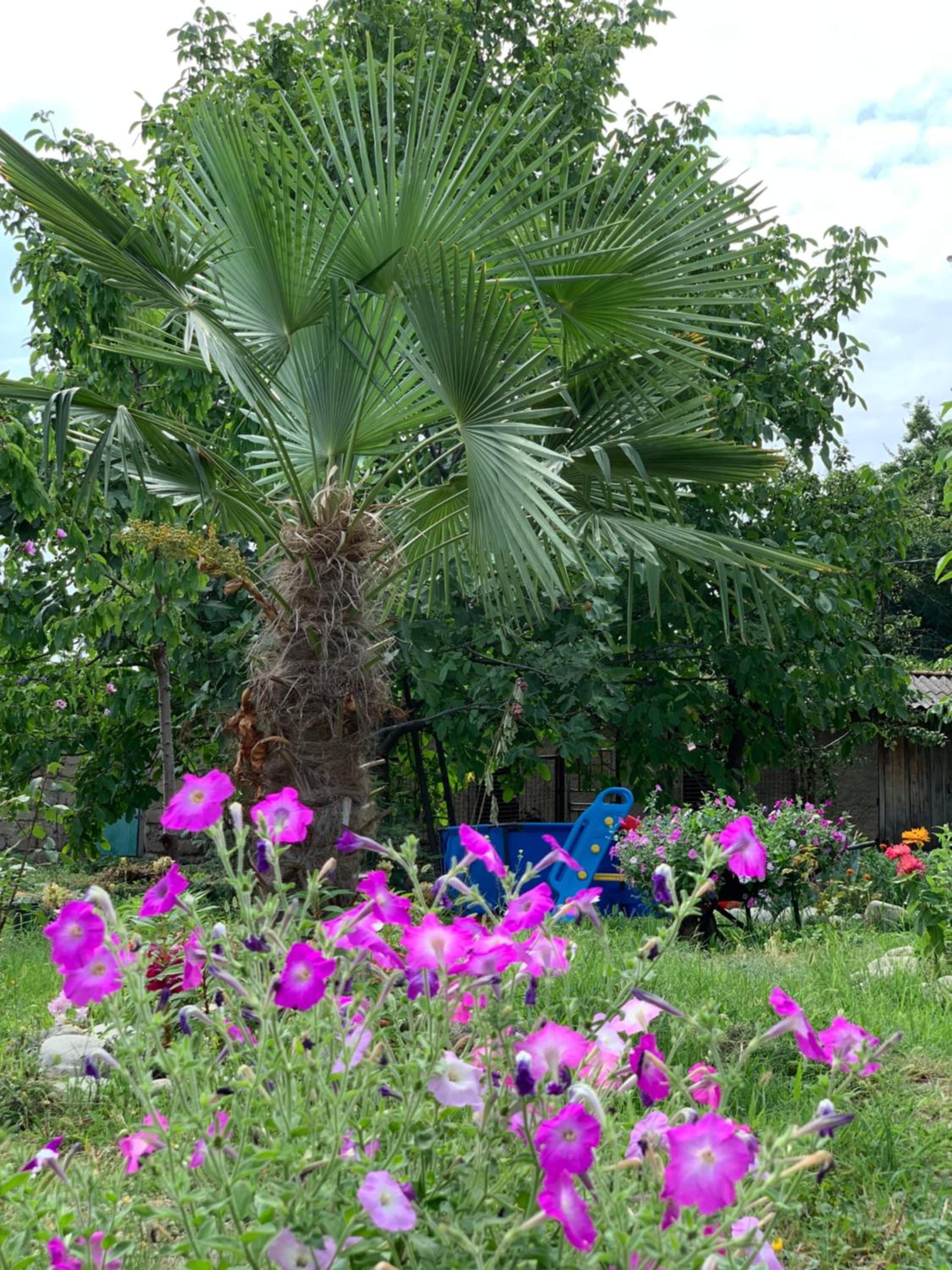 Villa Tsinandali
