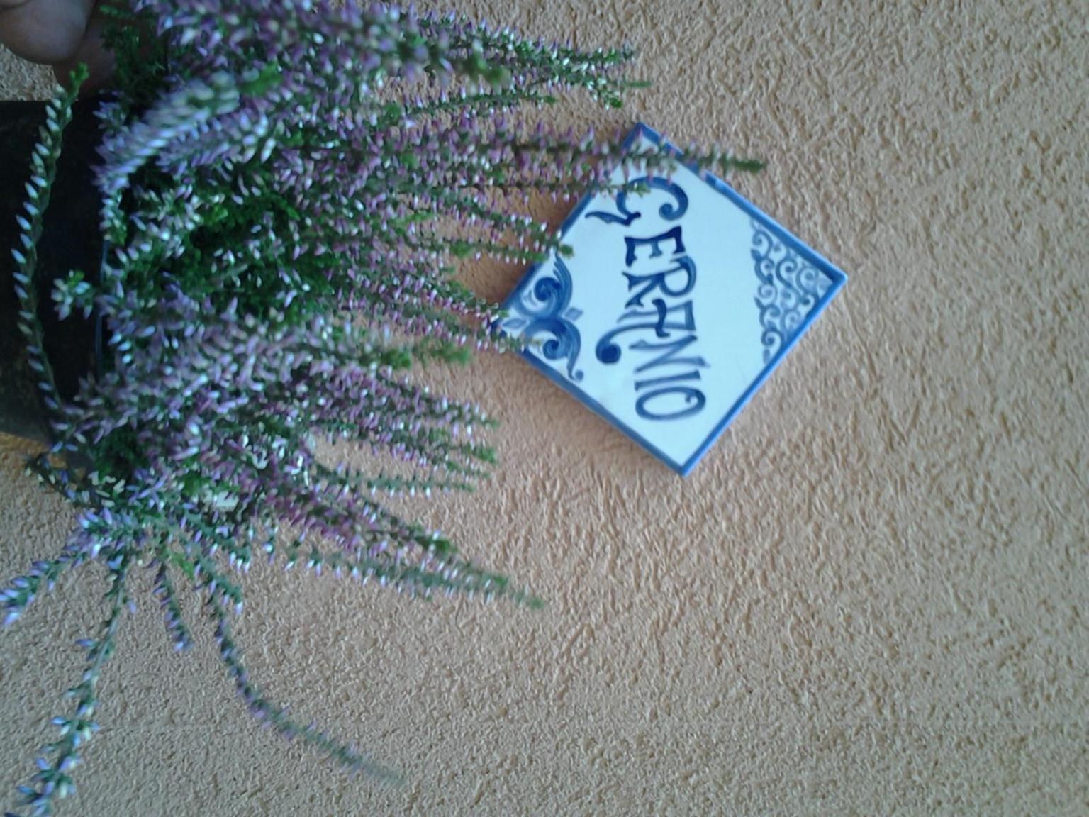 other