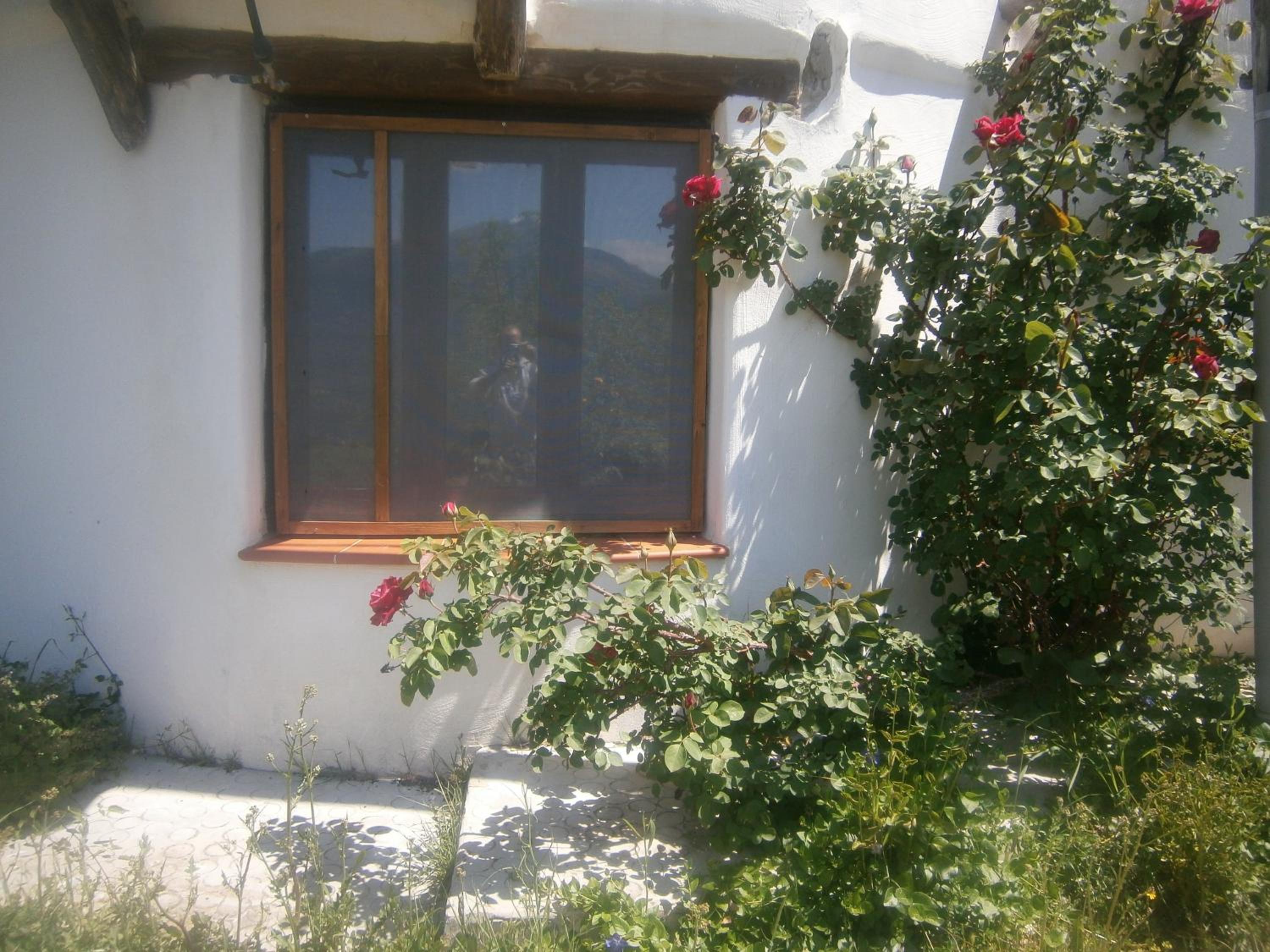 Photo 54