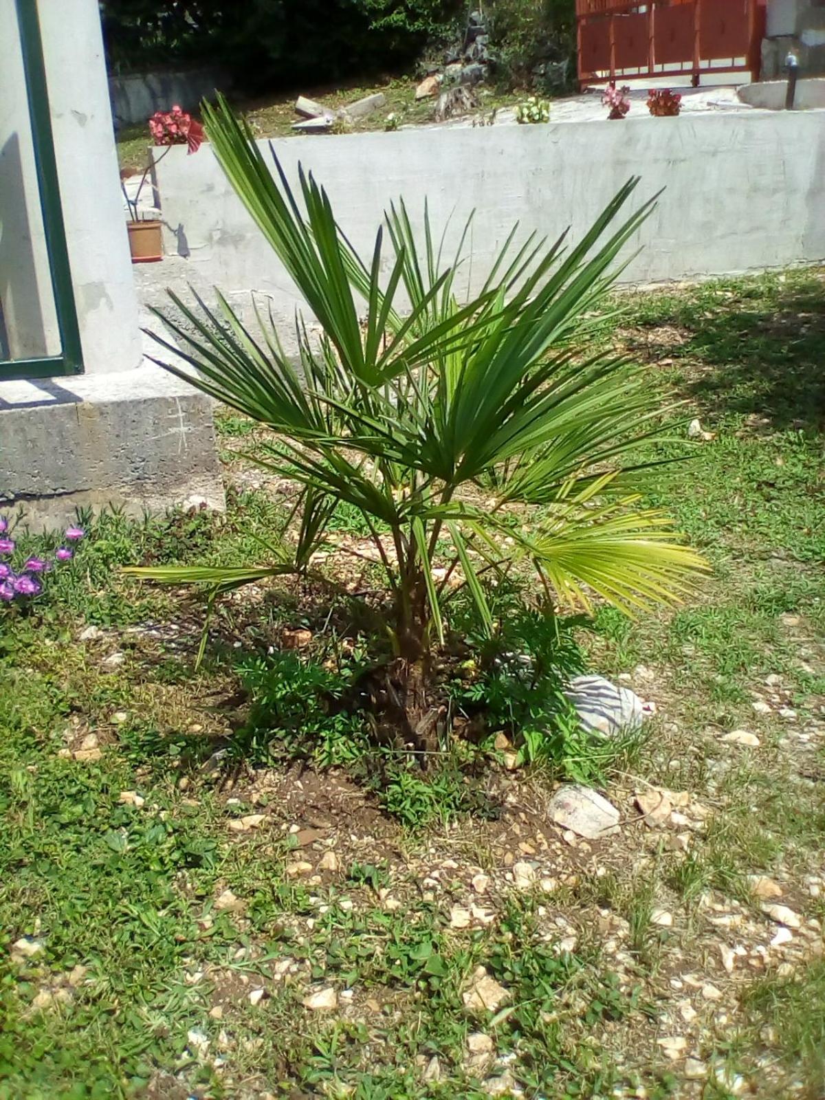 Photo 39