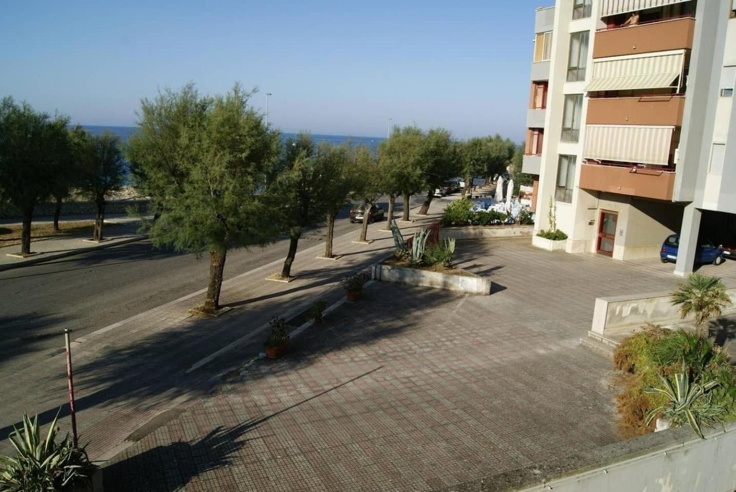 Photo 31