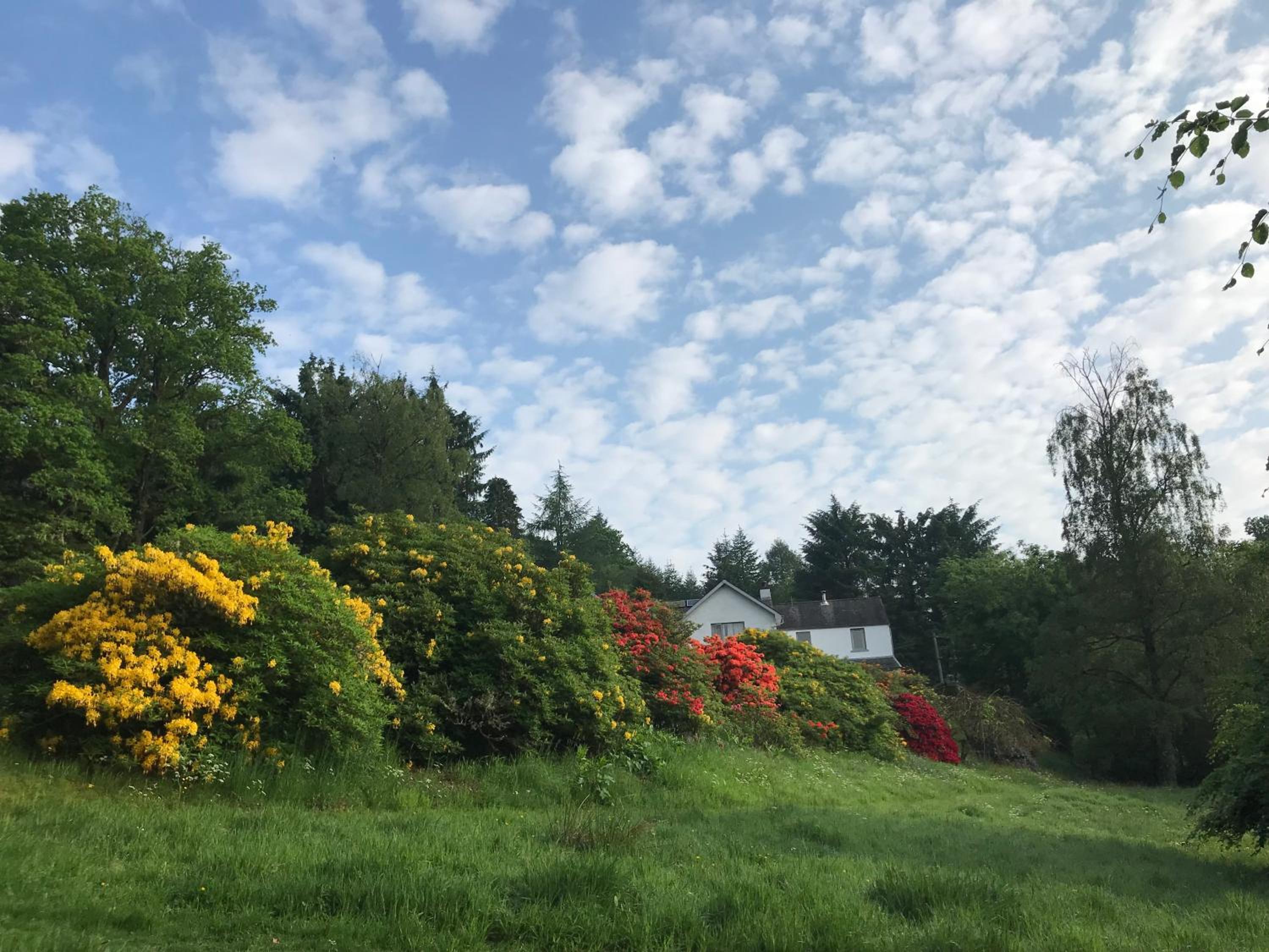 Mews Cottage Ardoch Lodge Strathyre view 5
