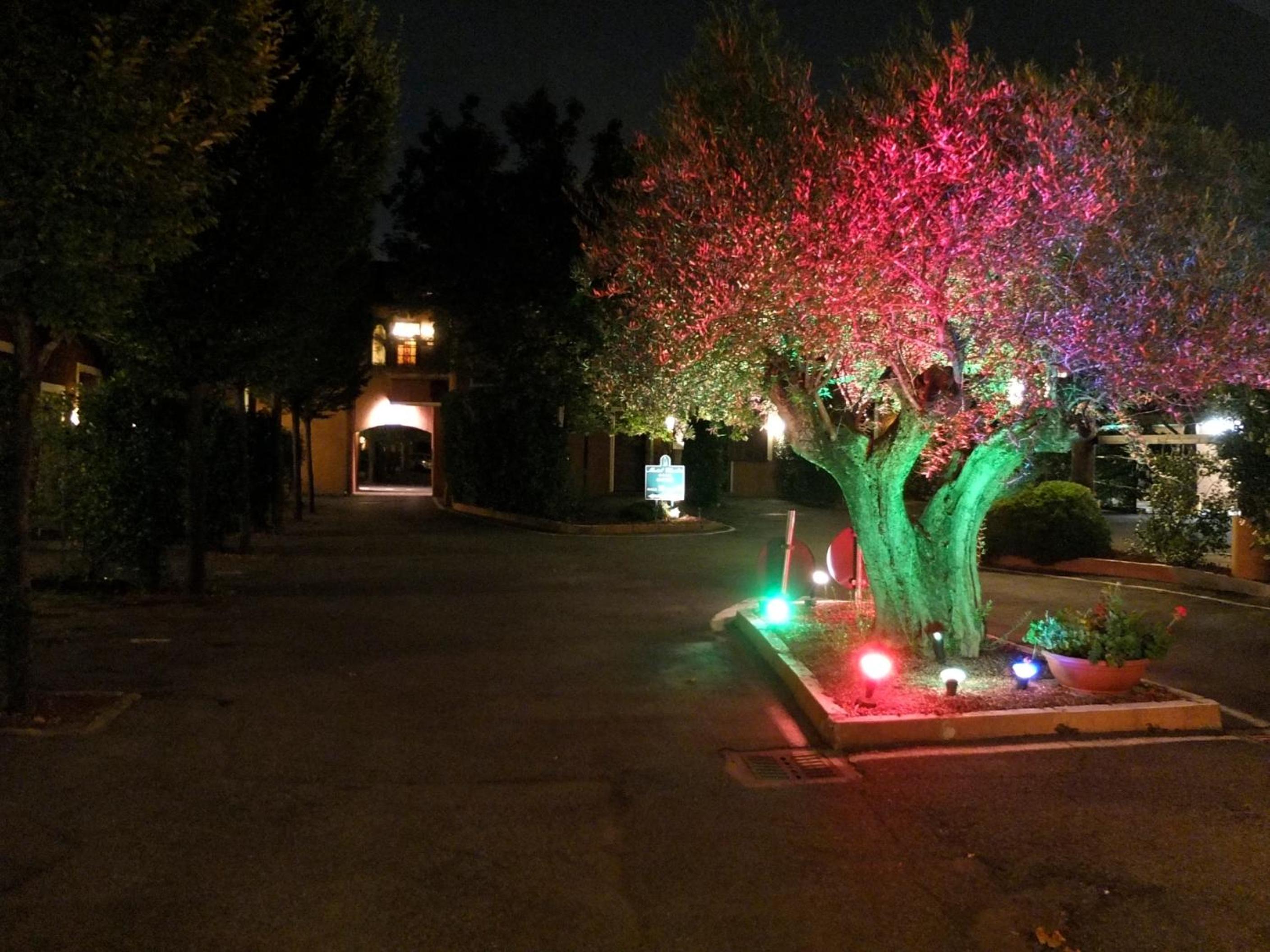 Photo 49