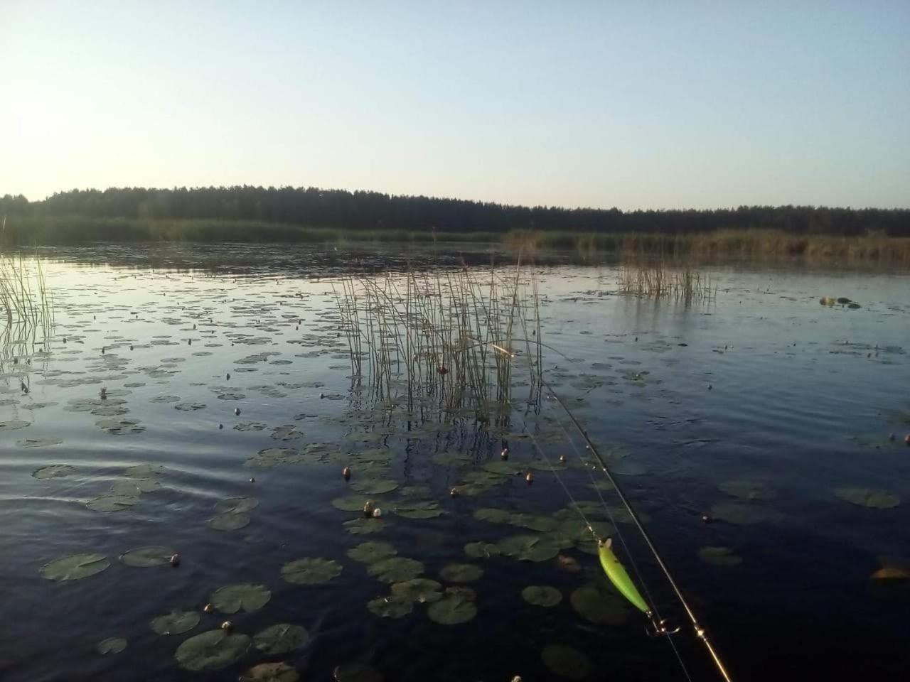 Photo 36