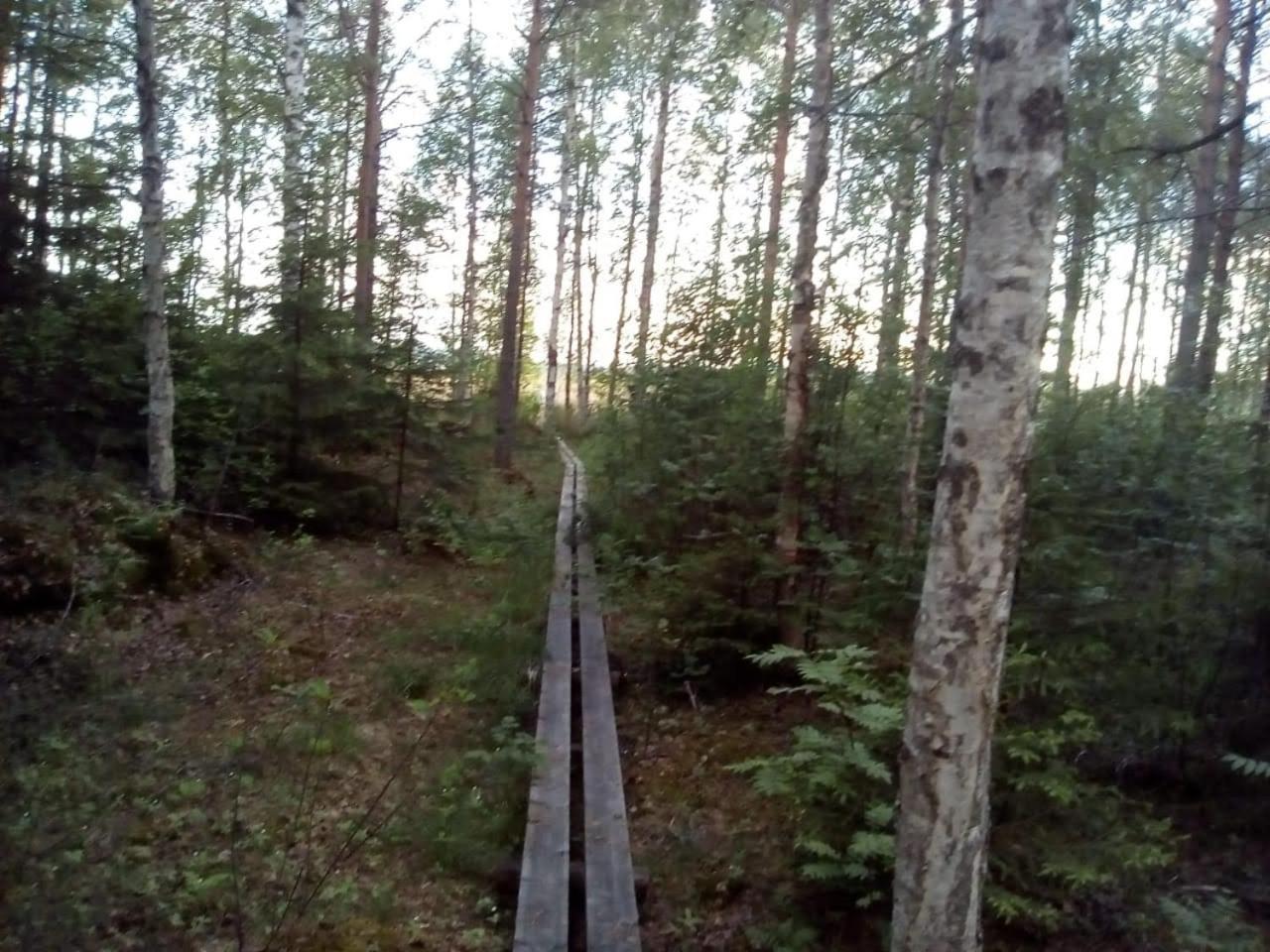 Photo 37