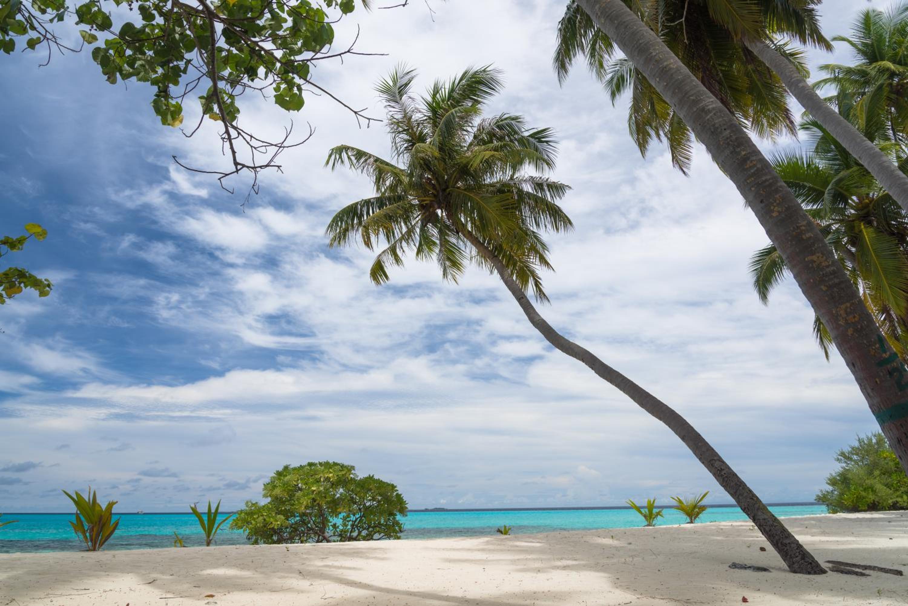 Ithaa Dhigurah Maldives photo 4