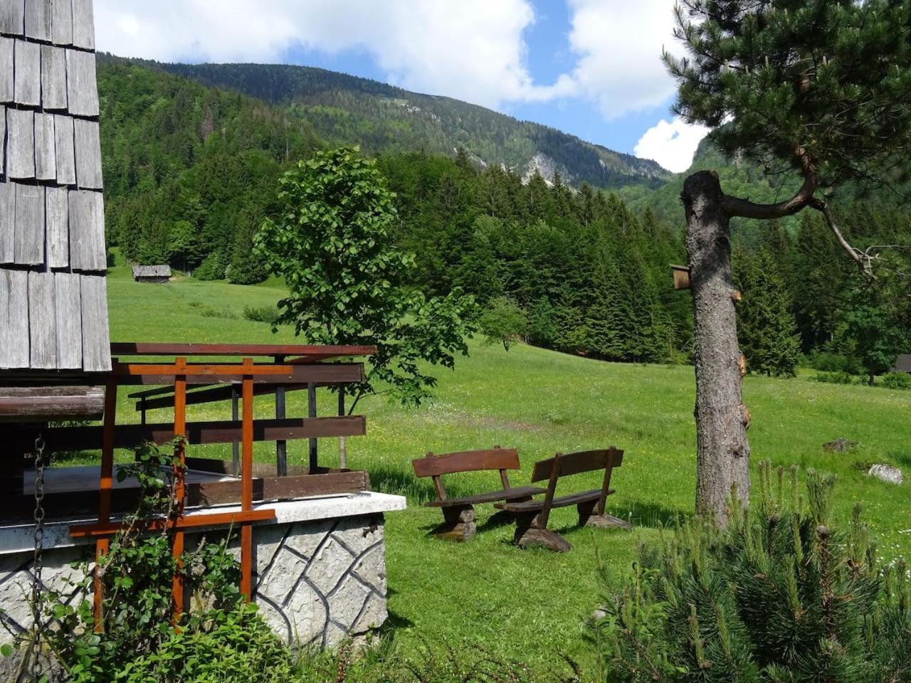 Wooden Cottage view 2