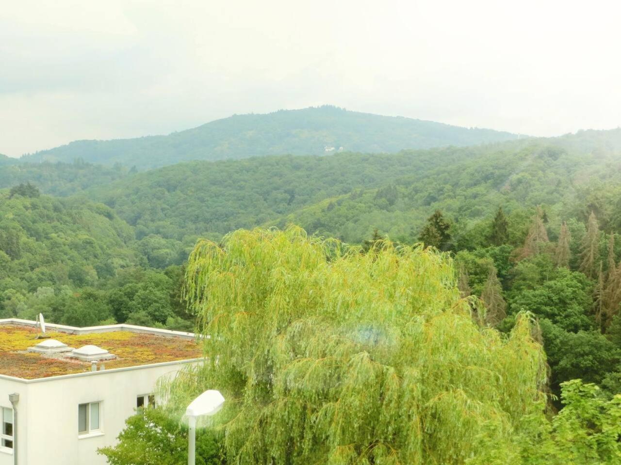 Photo 33