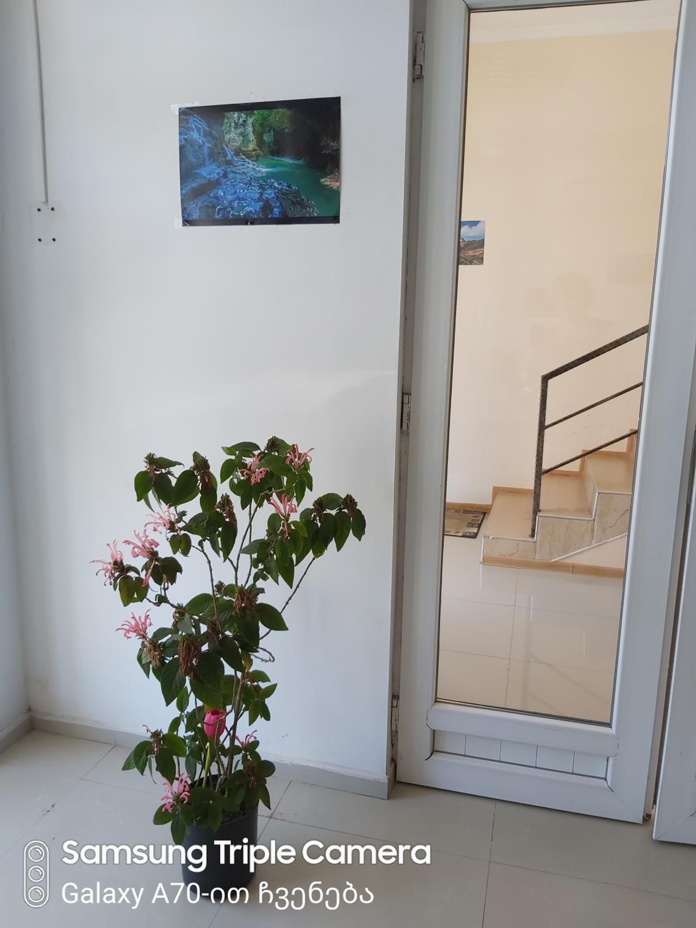 Martvili Newhotel view 4