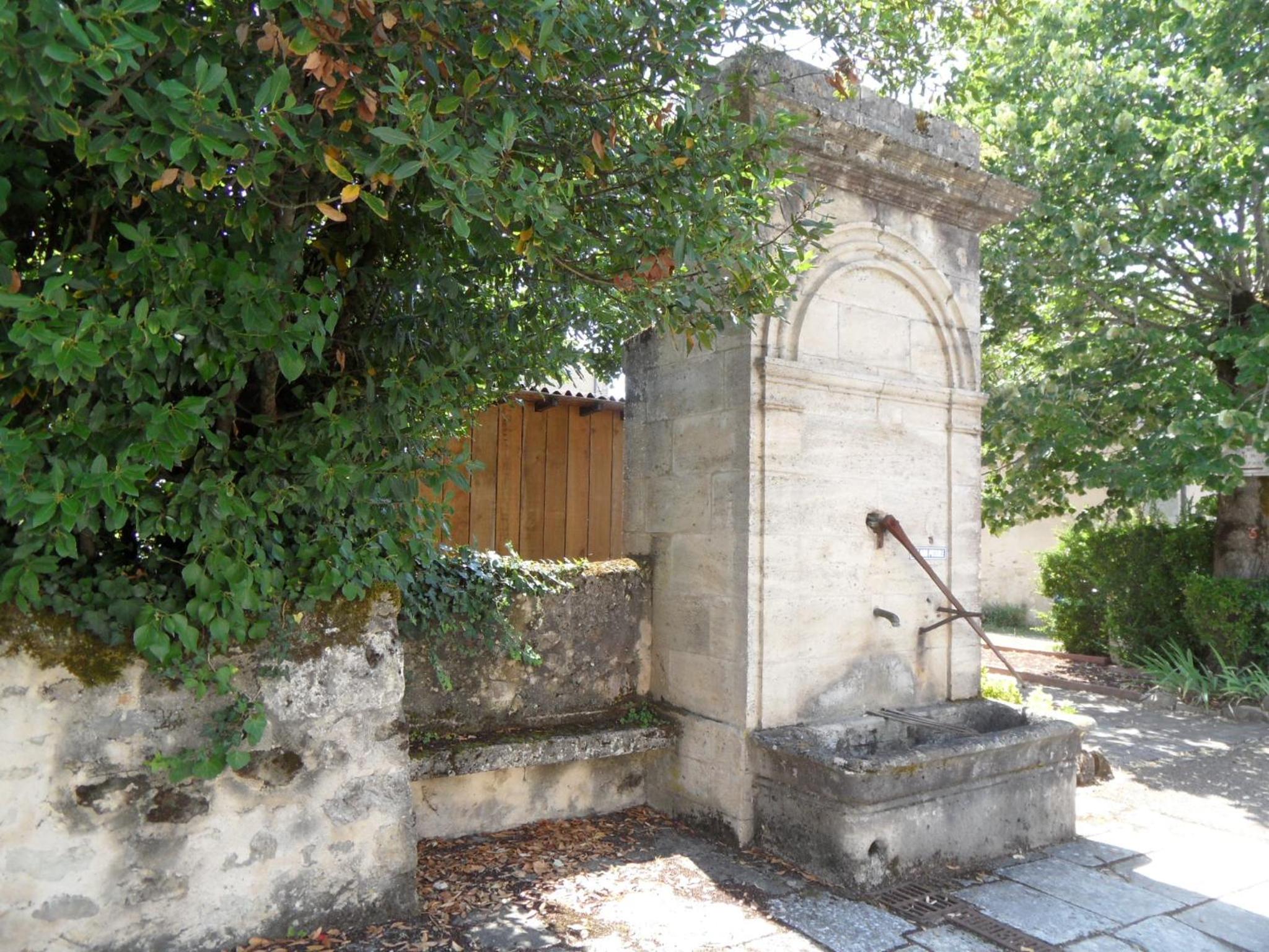 Photo 11