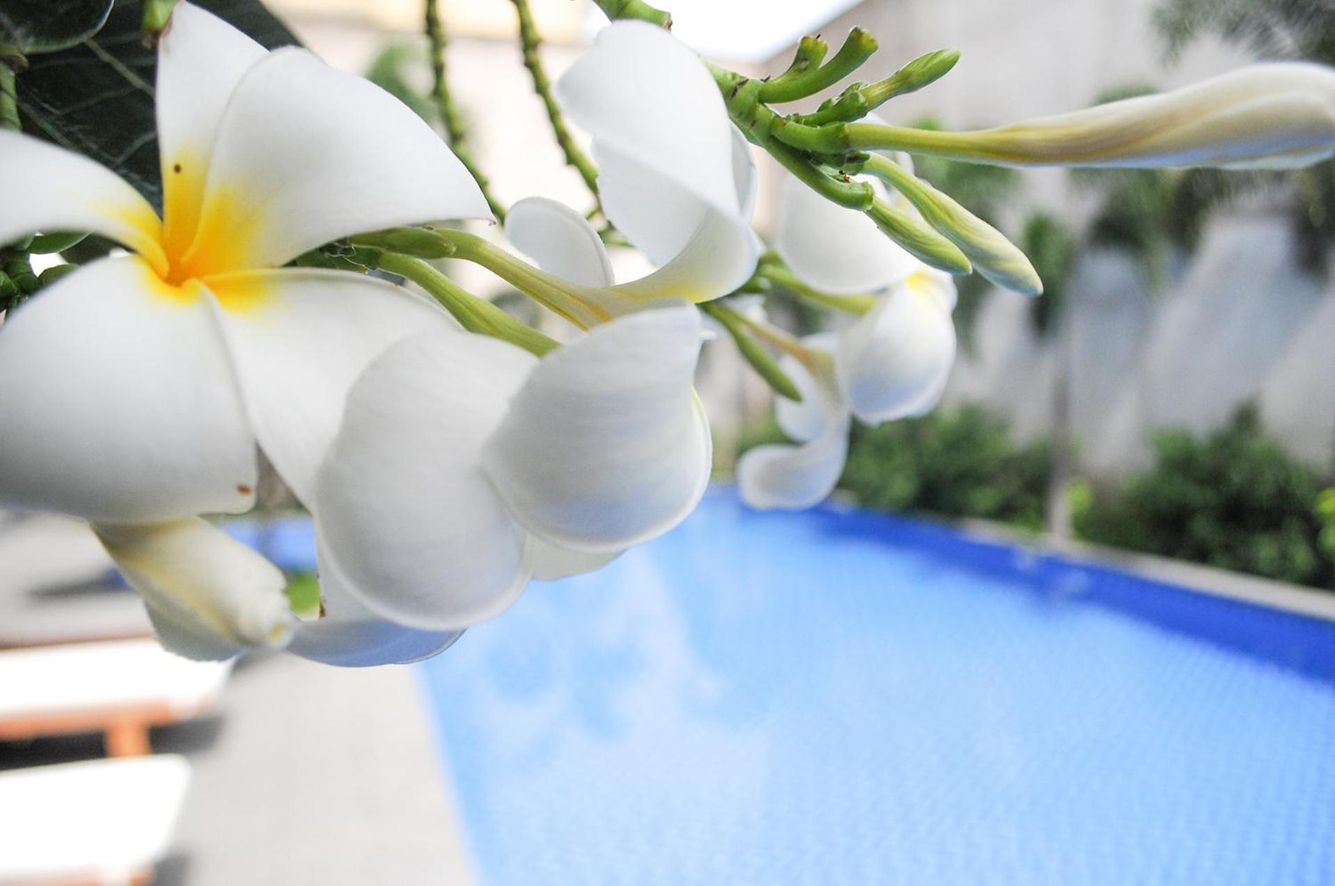 SAIGON GARDEN HILL Resort & Apartment