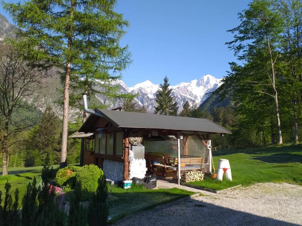 House Berdnik view 4