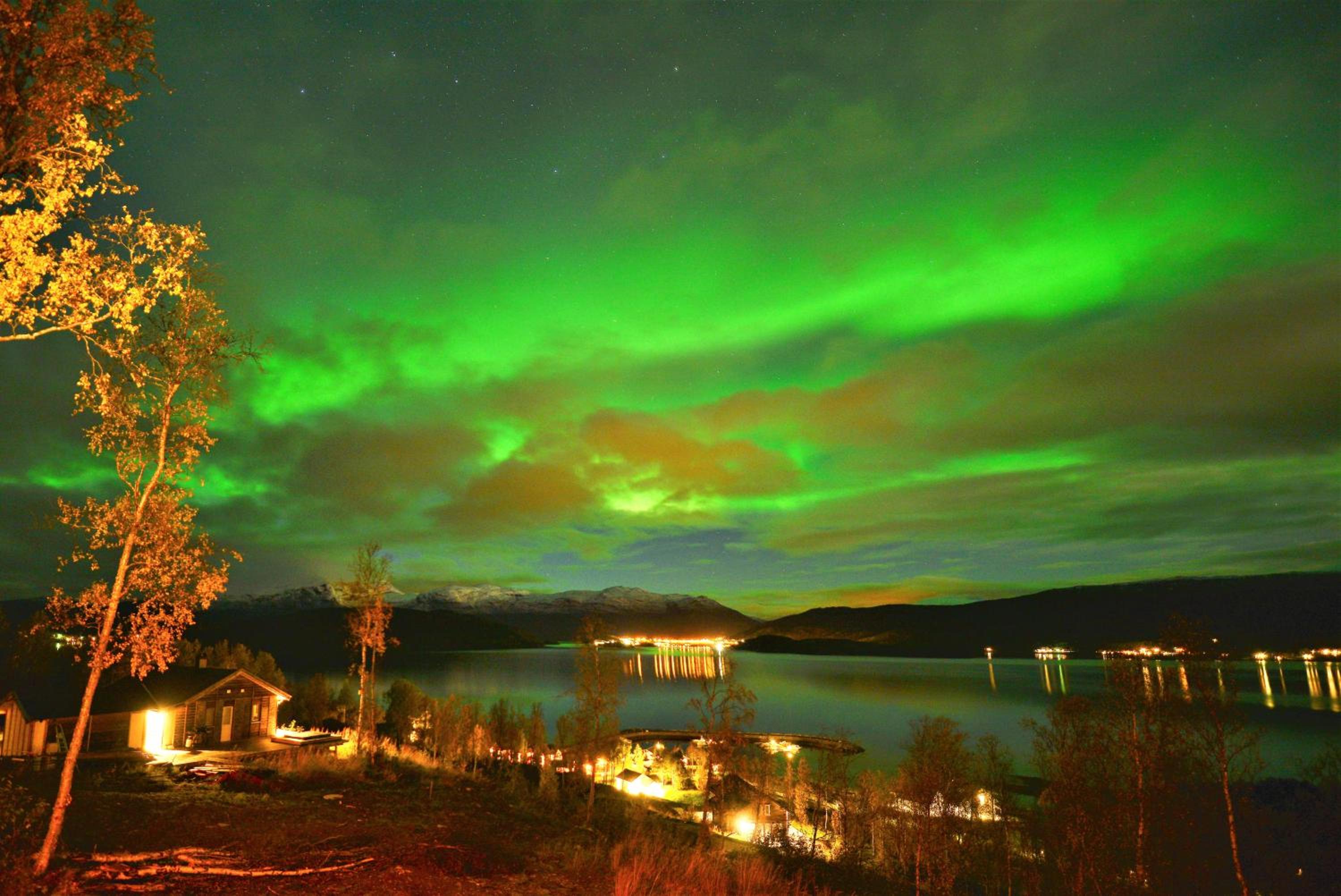 Photo 16