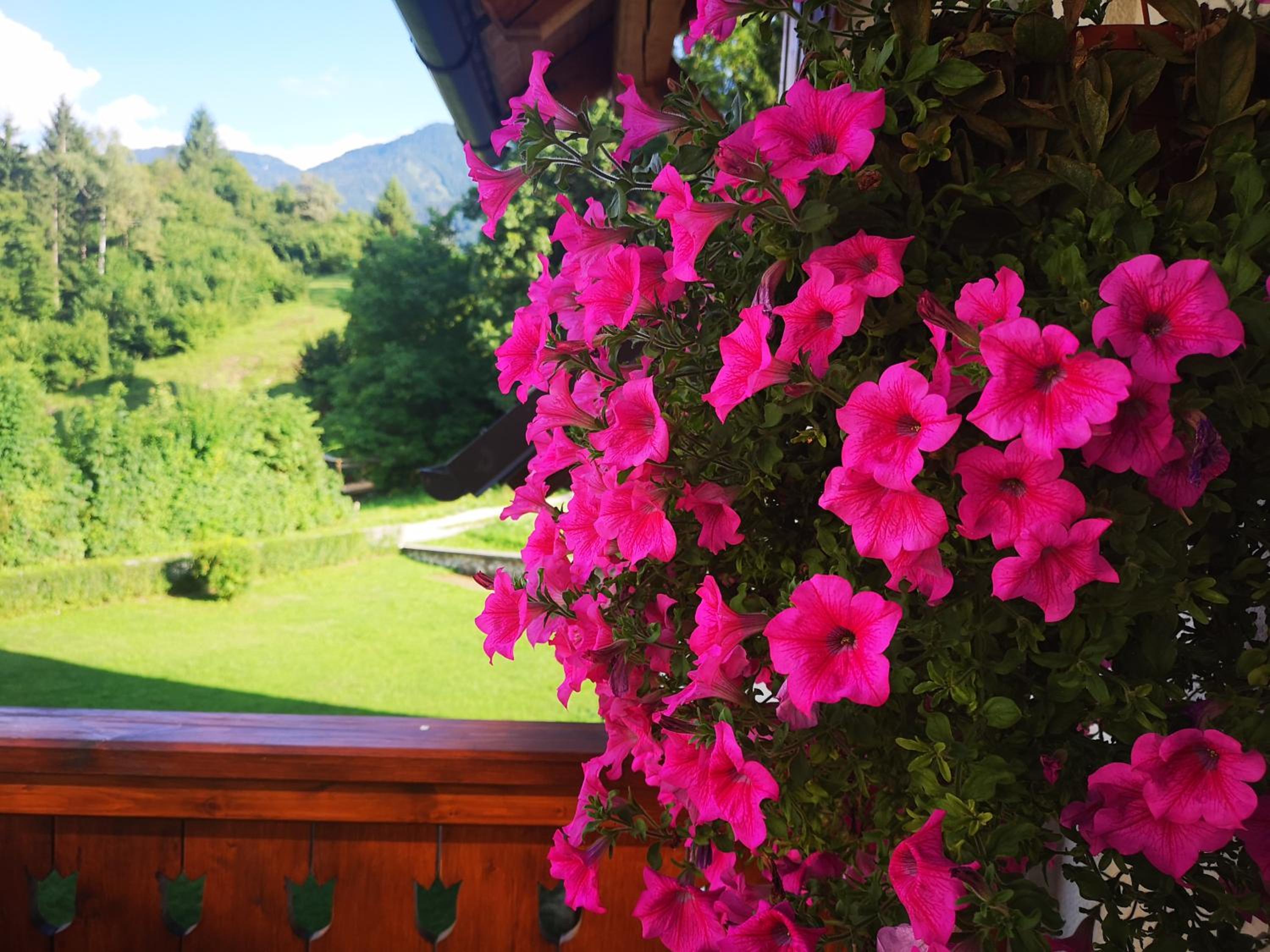 TriSa apartments Bohinj