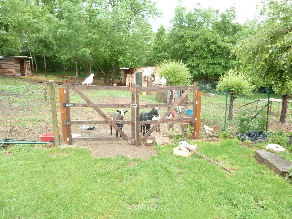 GITE "LES GILLES" ET SES ANIMAUX CALME-BON AIR - 5 personnes view 3