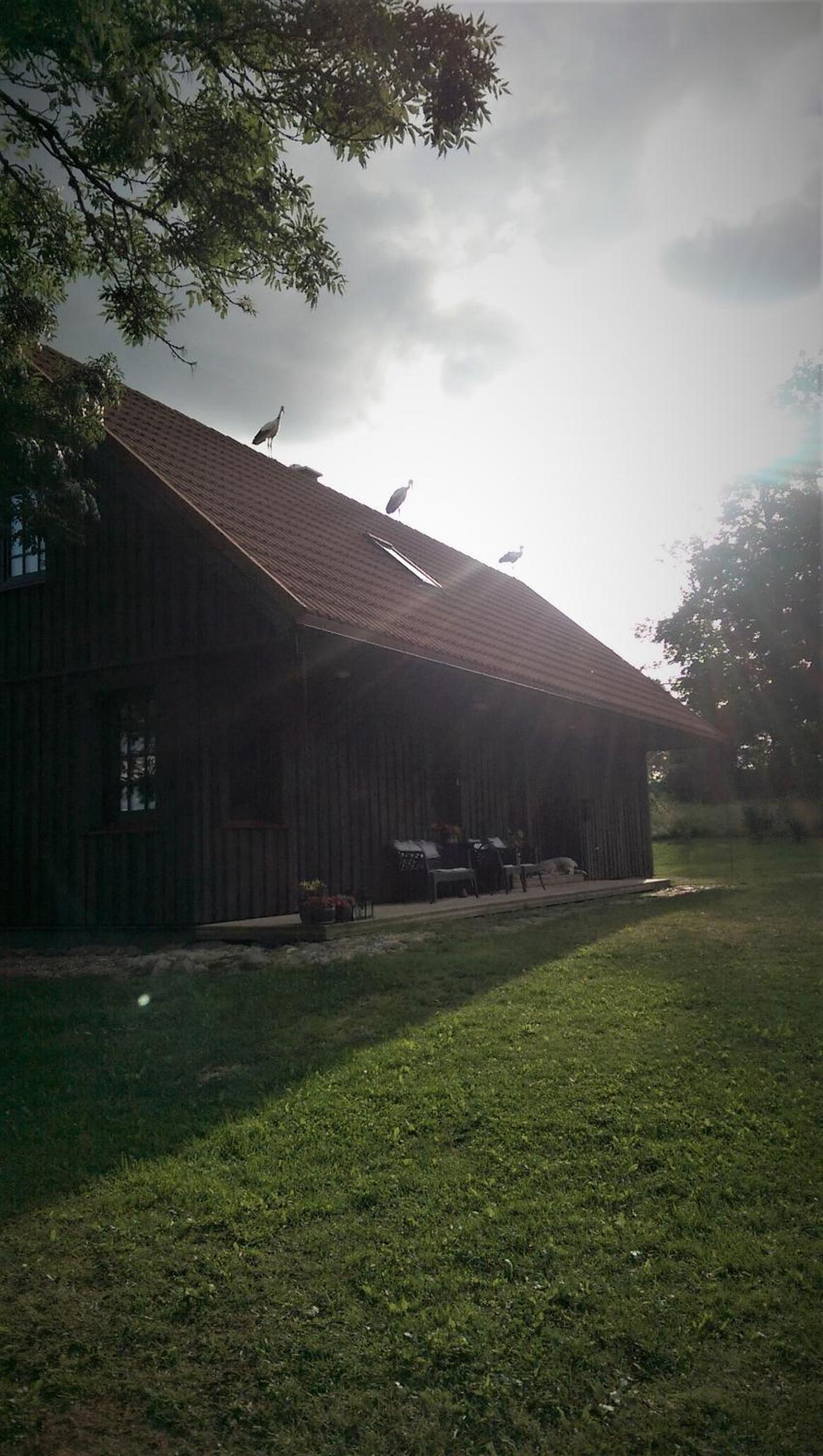 Photo 40