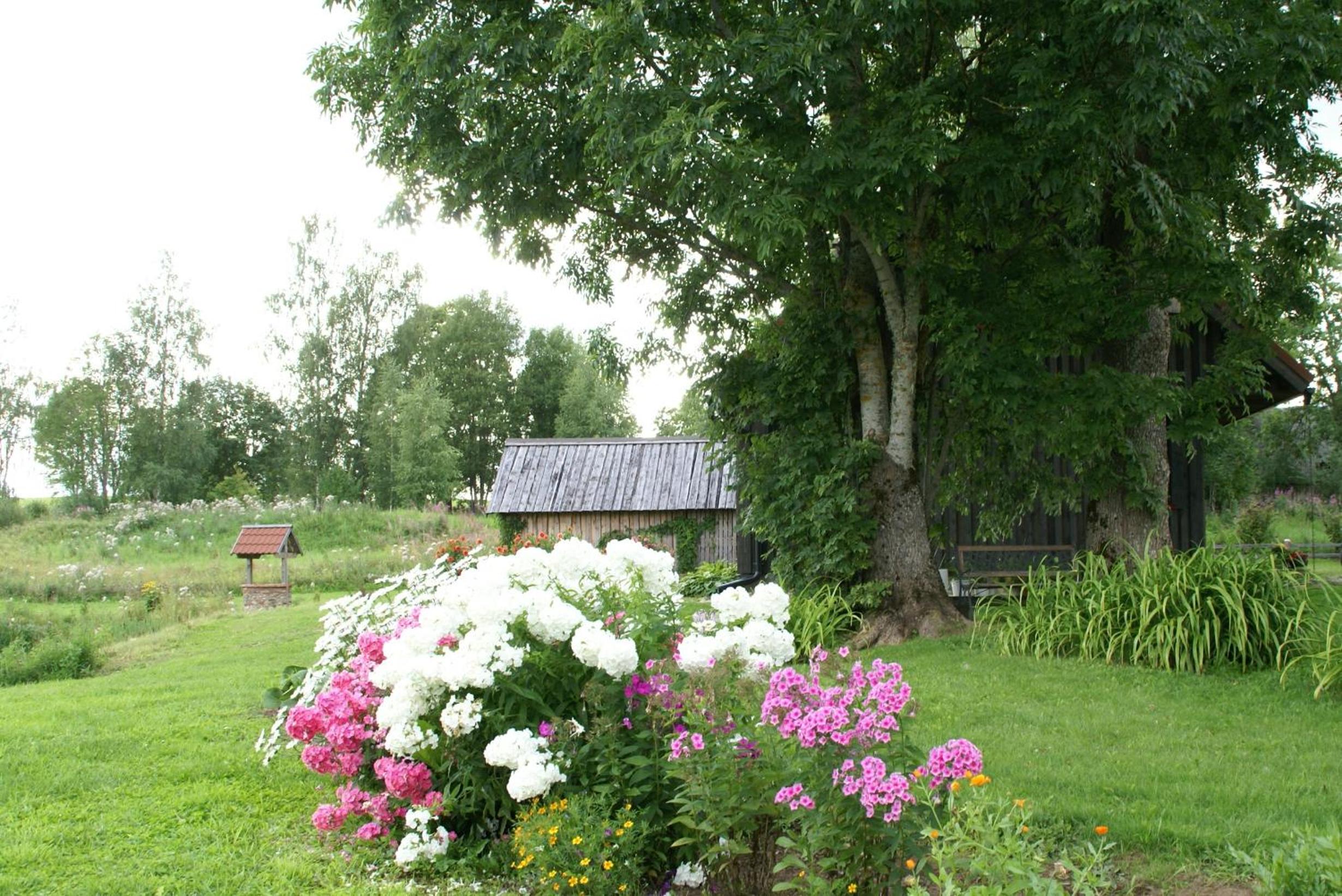 Photo 36