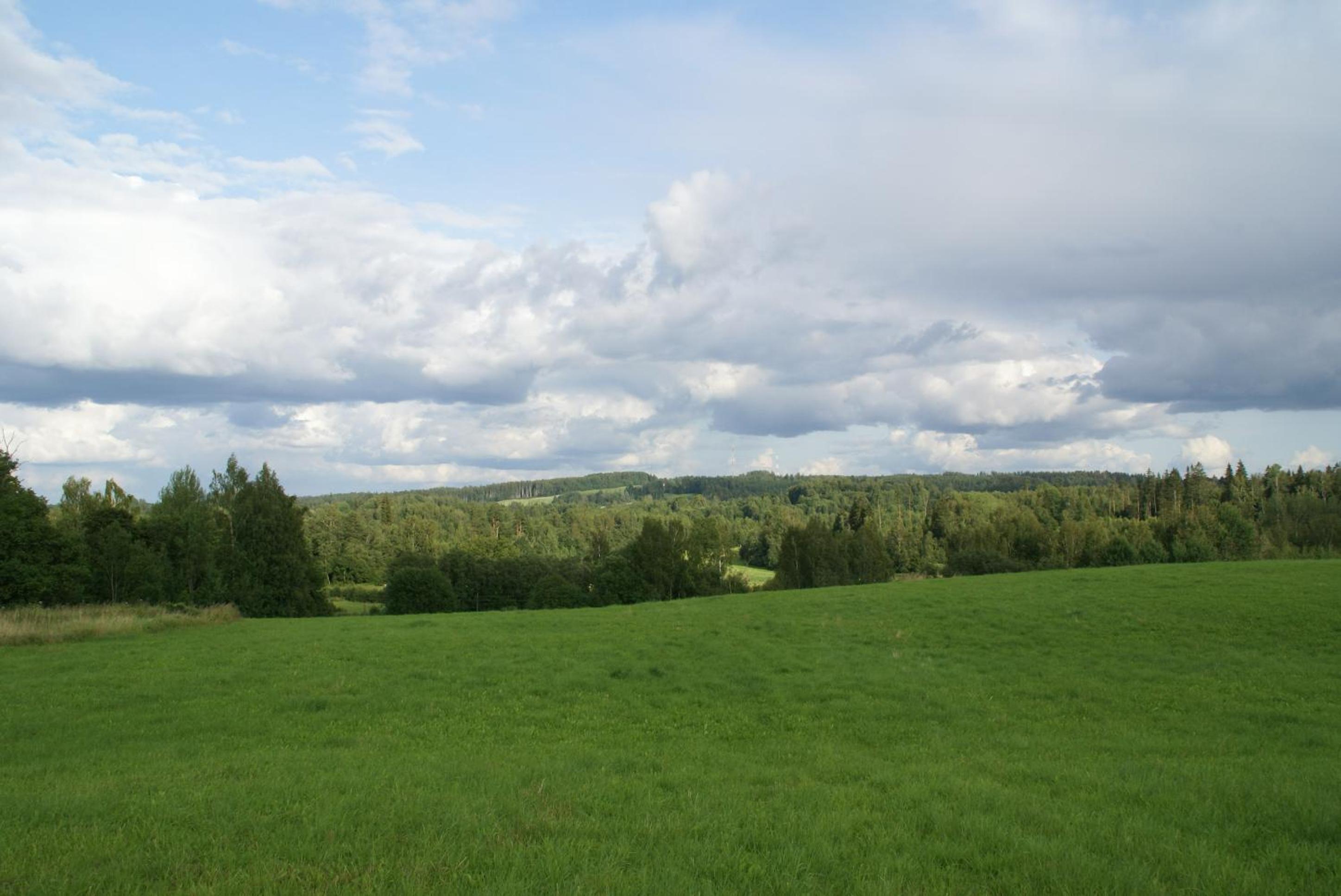 Photo 42