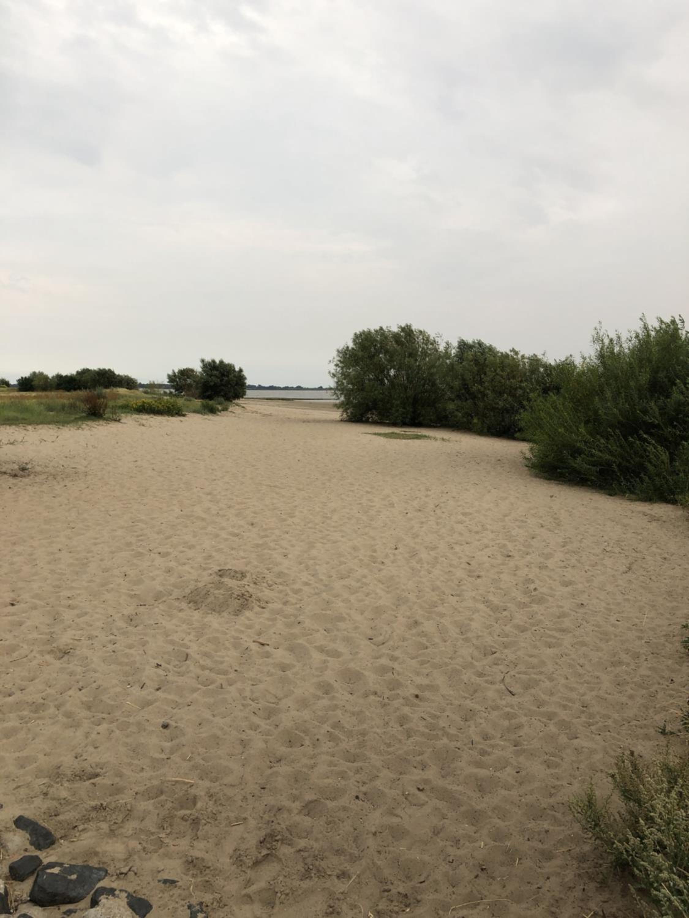 Photo 37
