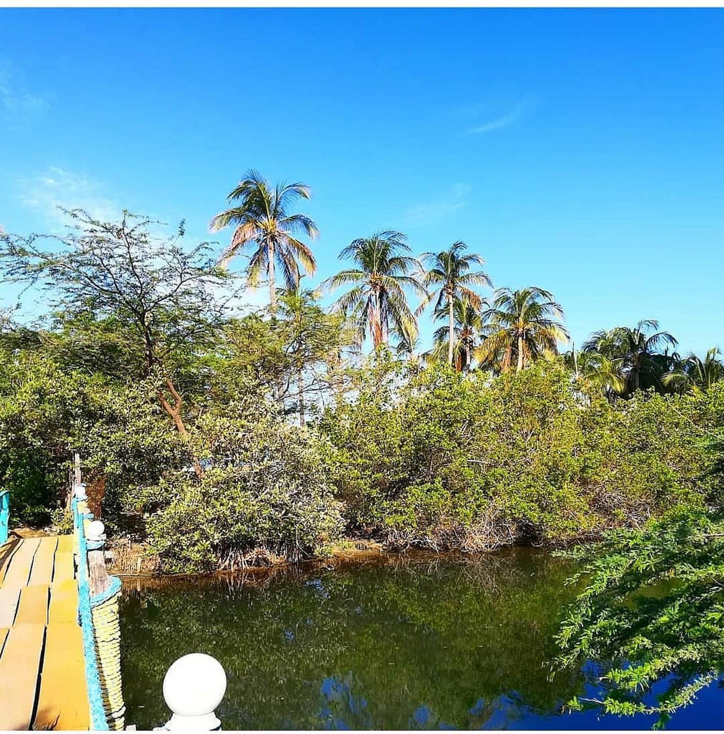 Playa del Ritmo Beach Hostel & Bar - Adults Only