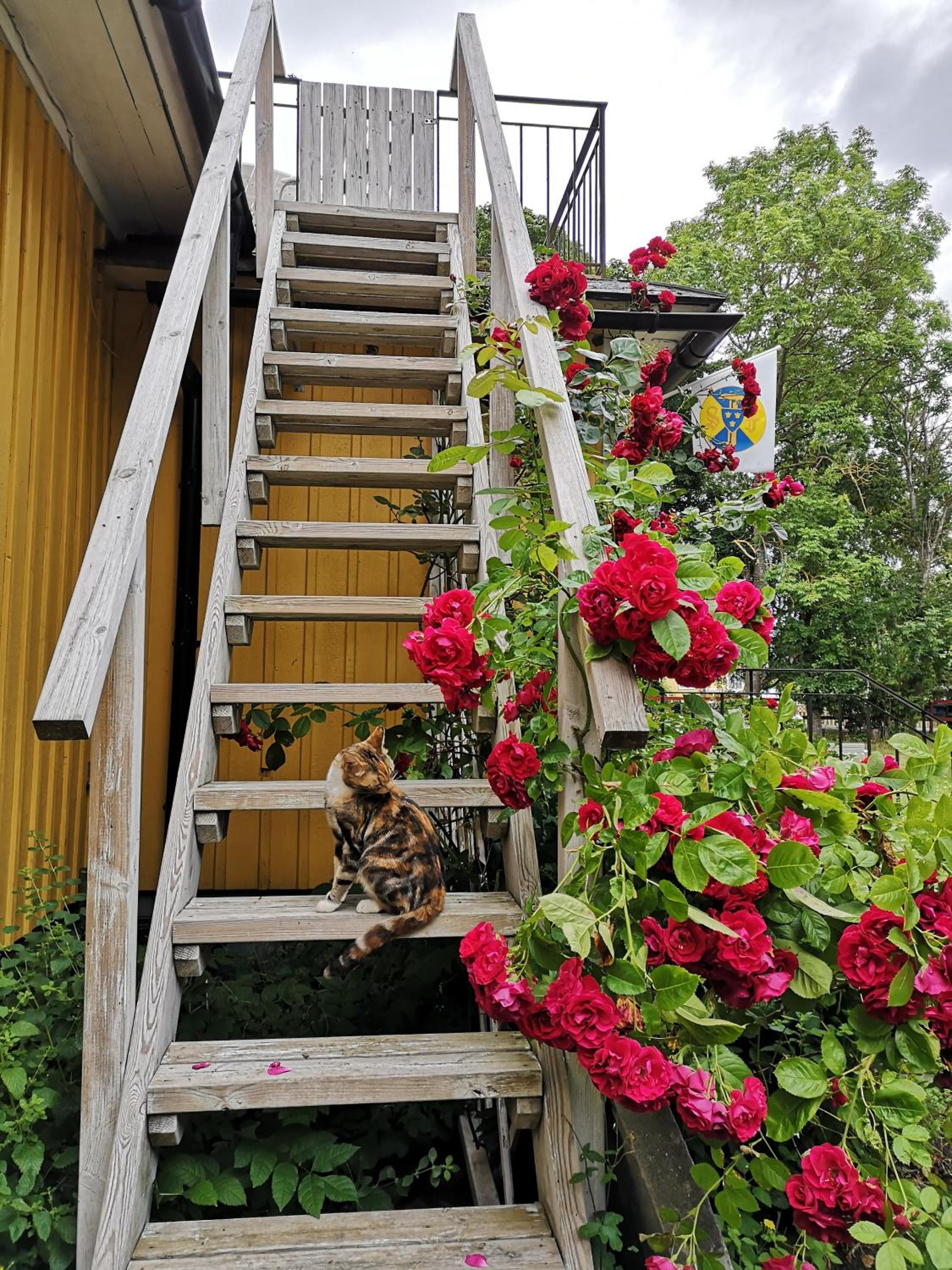 Lantgården Hagaby