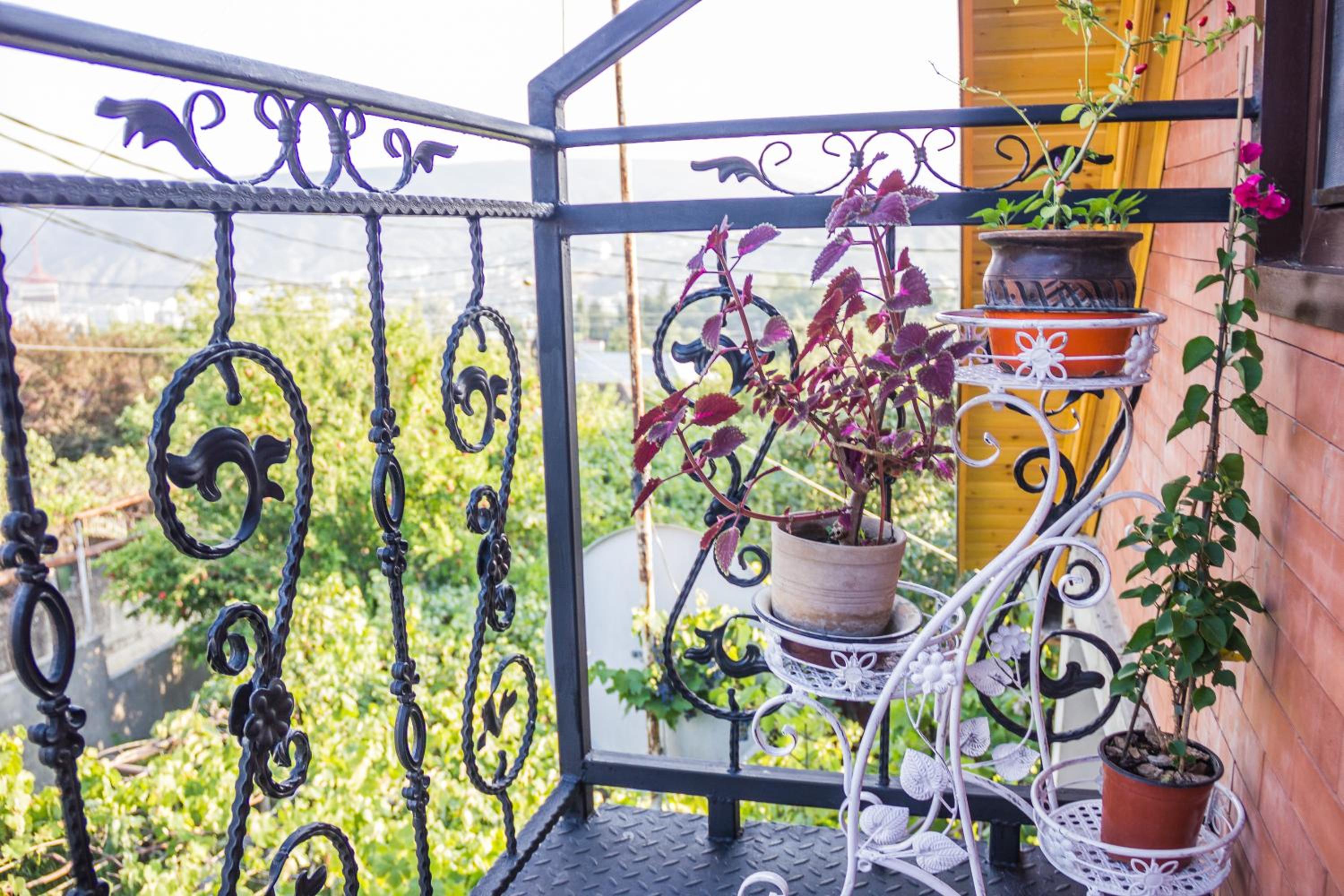 Apartament Sofia view 5