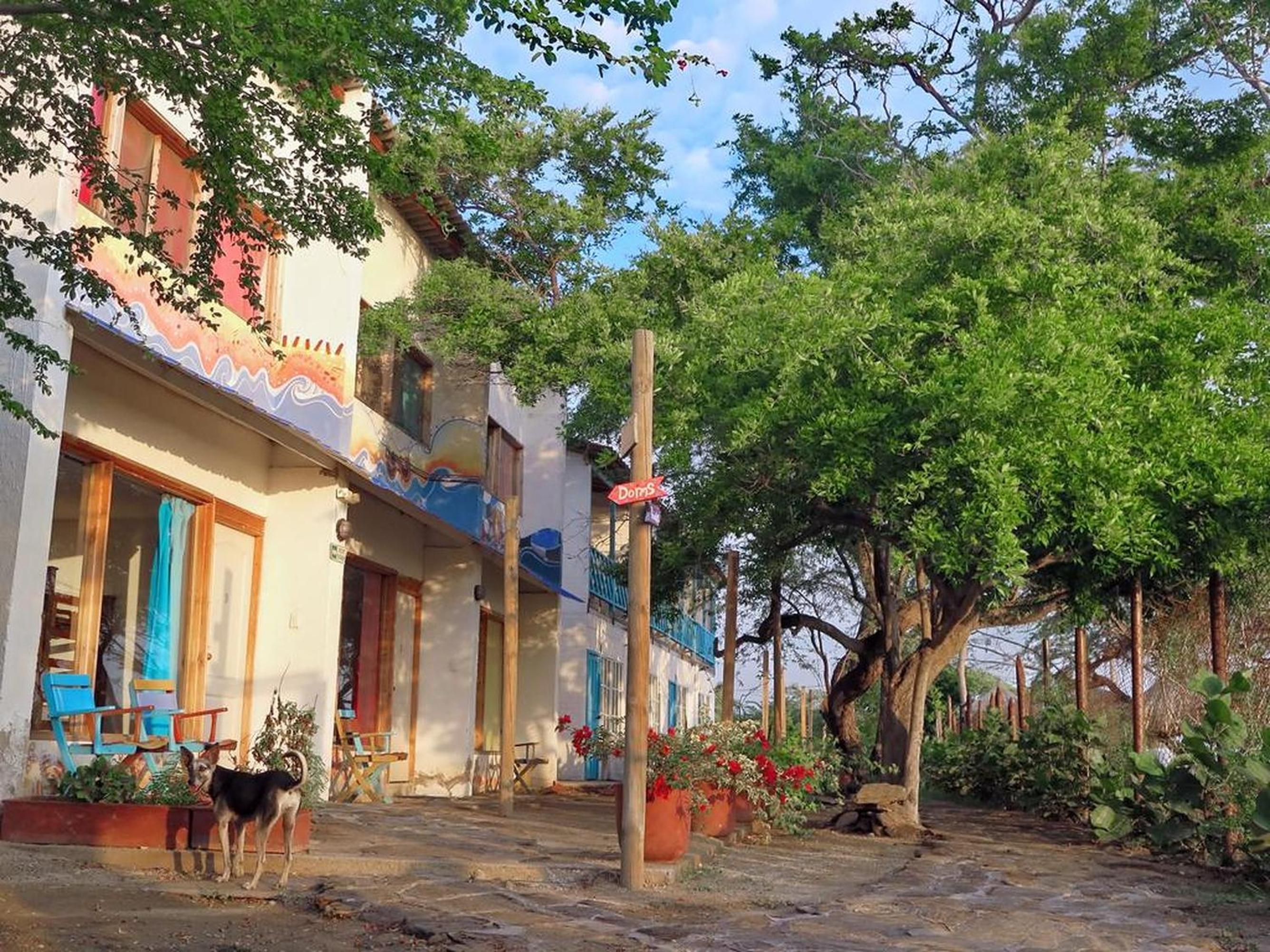 Playa del Ritmo Beach Hostel & Bar - Adults Only