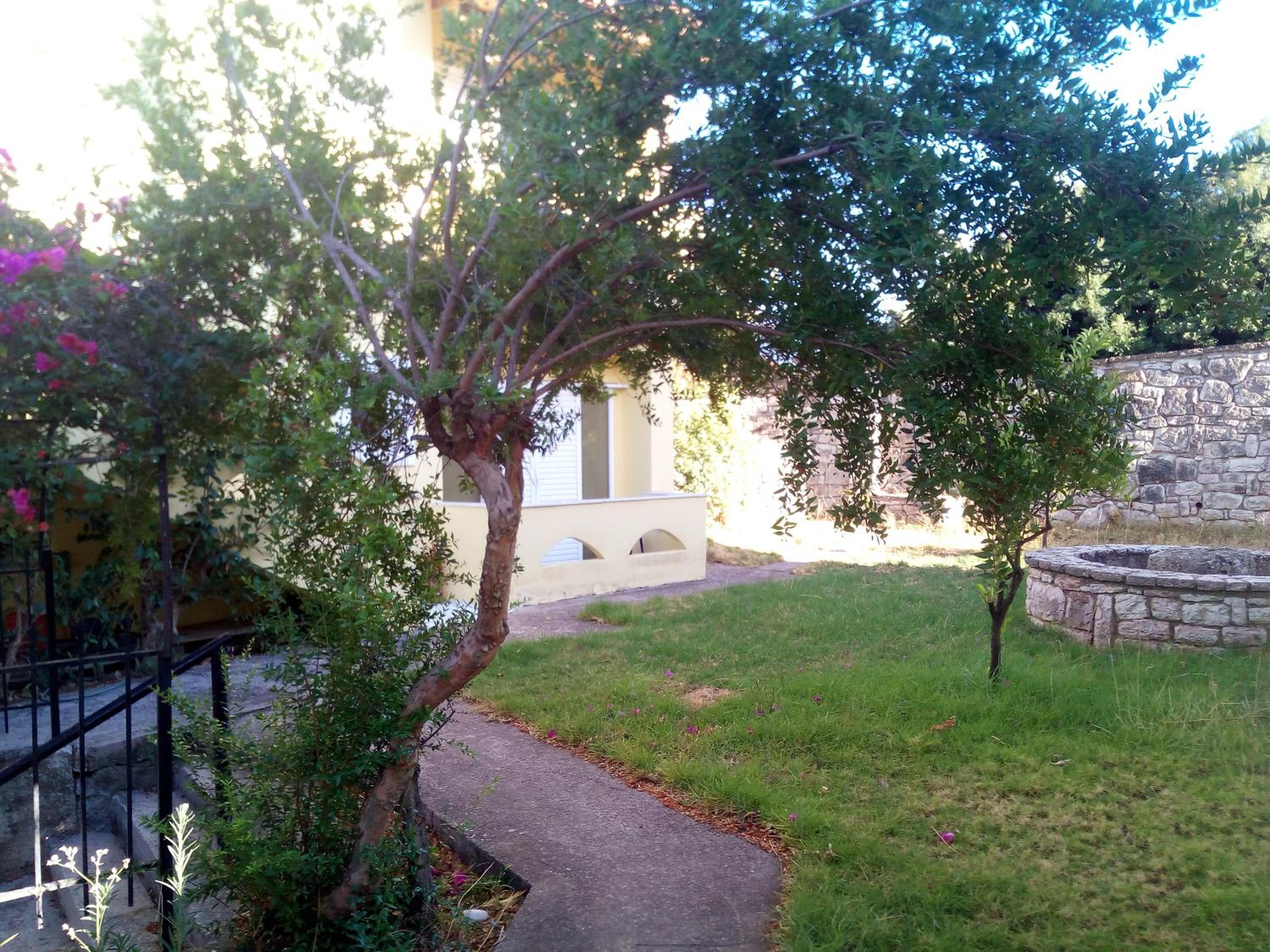Summertime Apartments