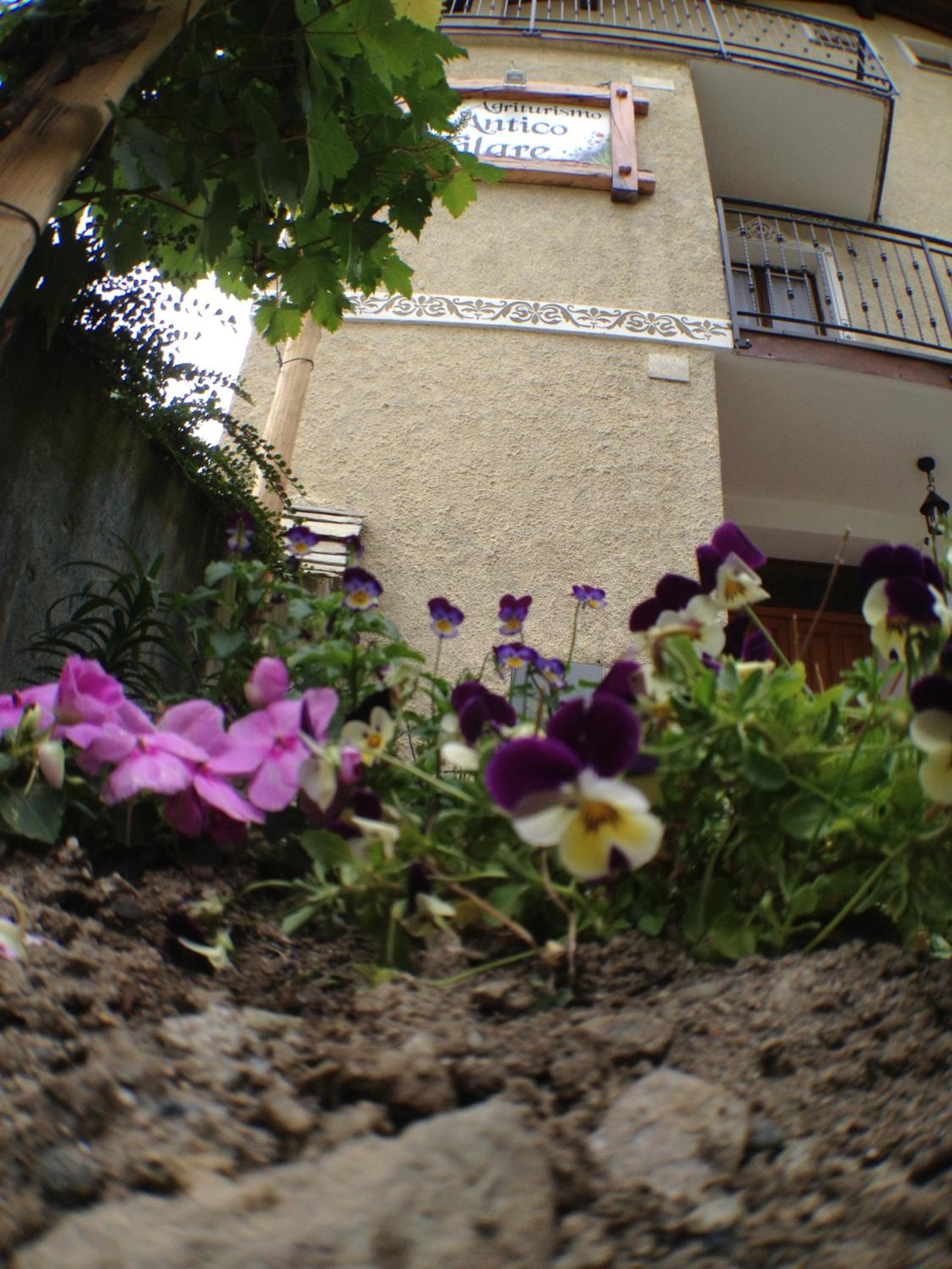 Photo 25