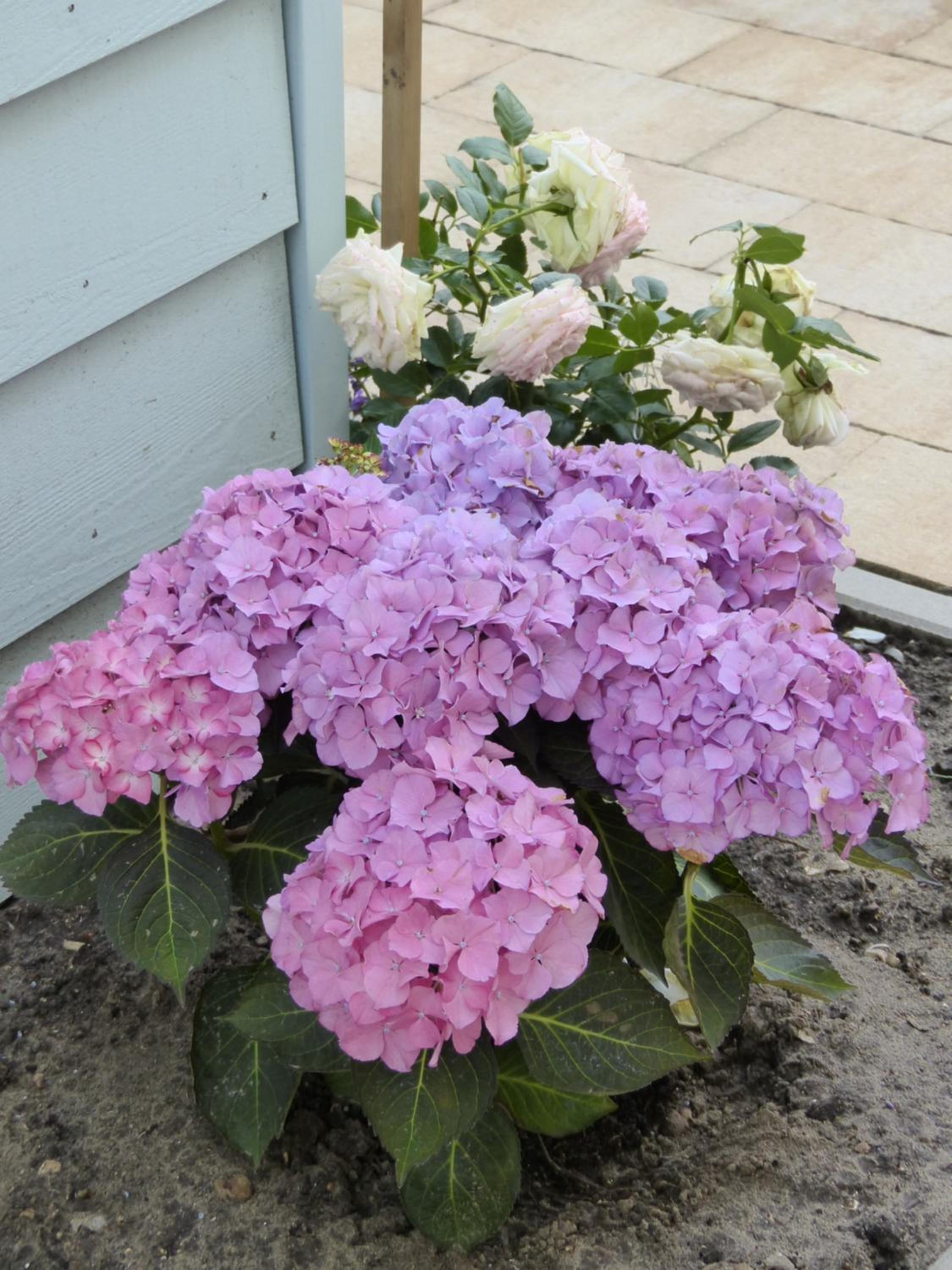 Photo 22