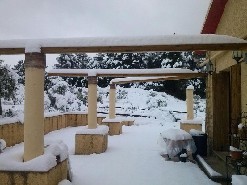 Mas Arboretum photo 4