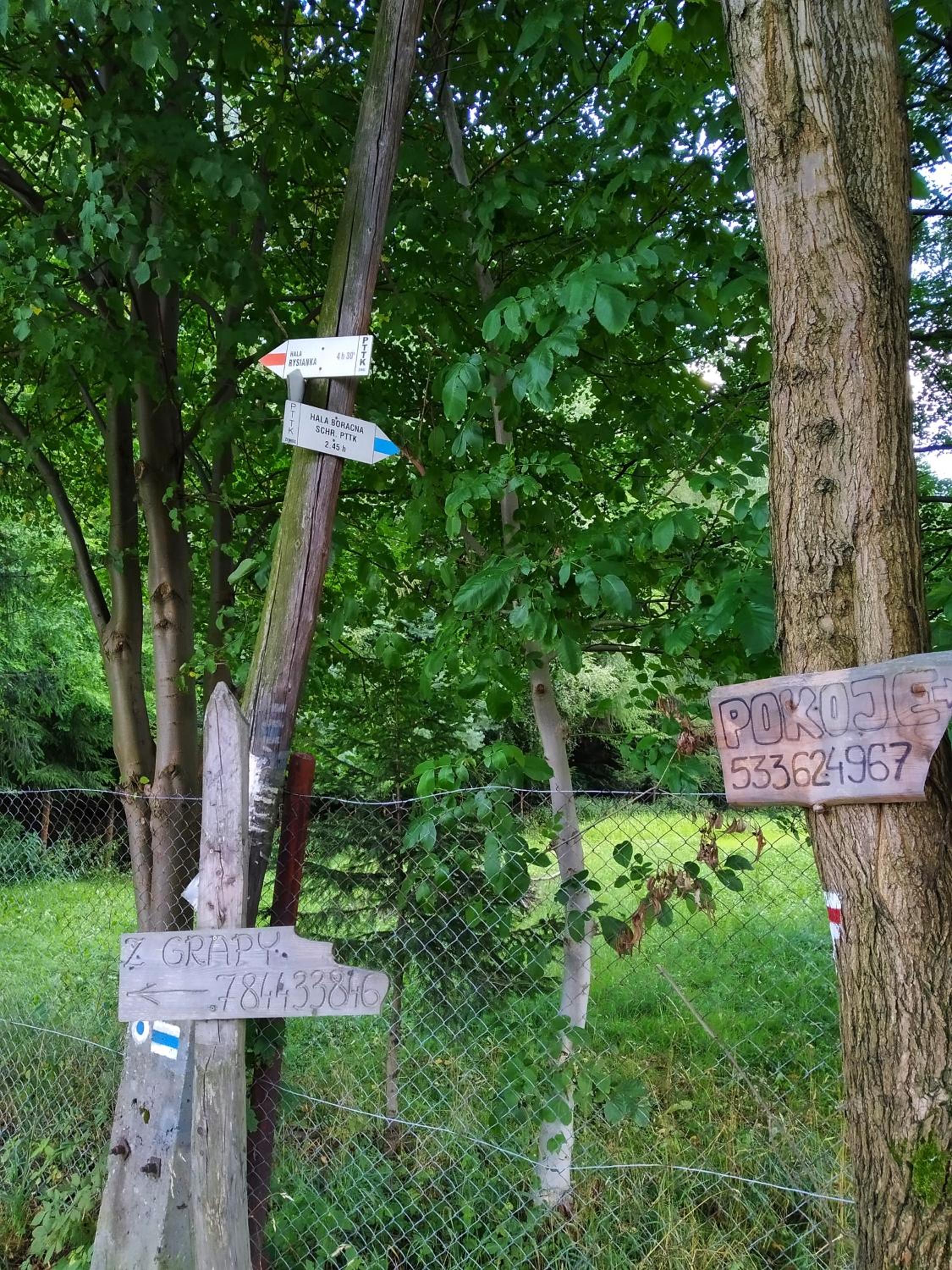 Photo 53